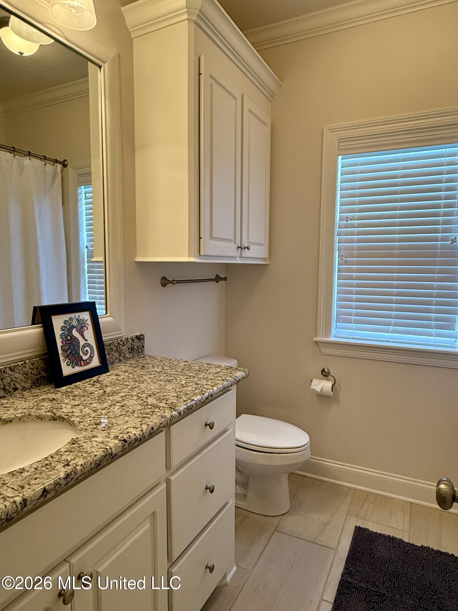 242 Falls Crossing Property Photo 19