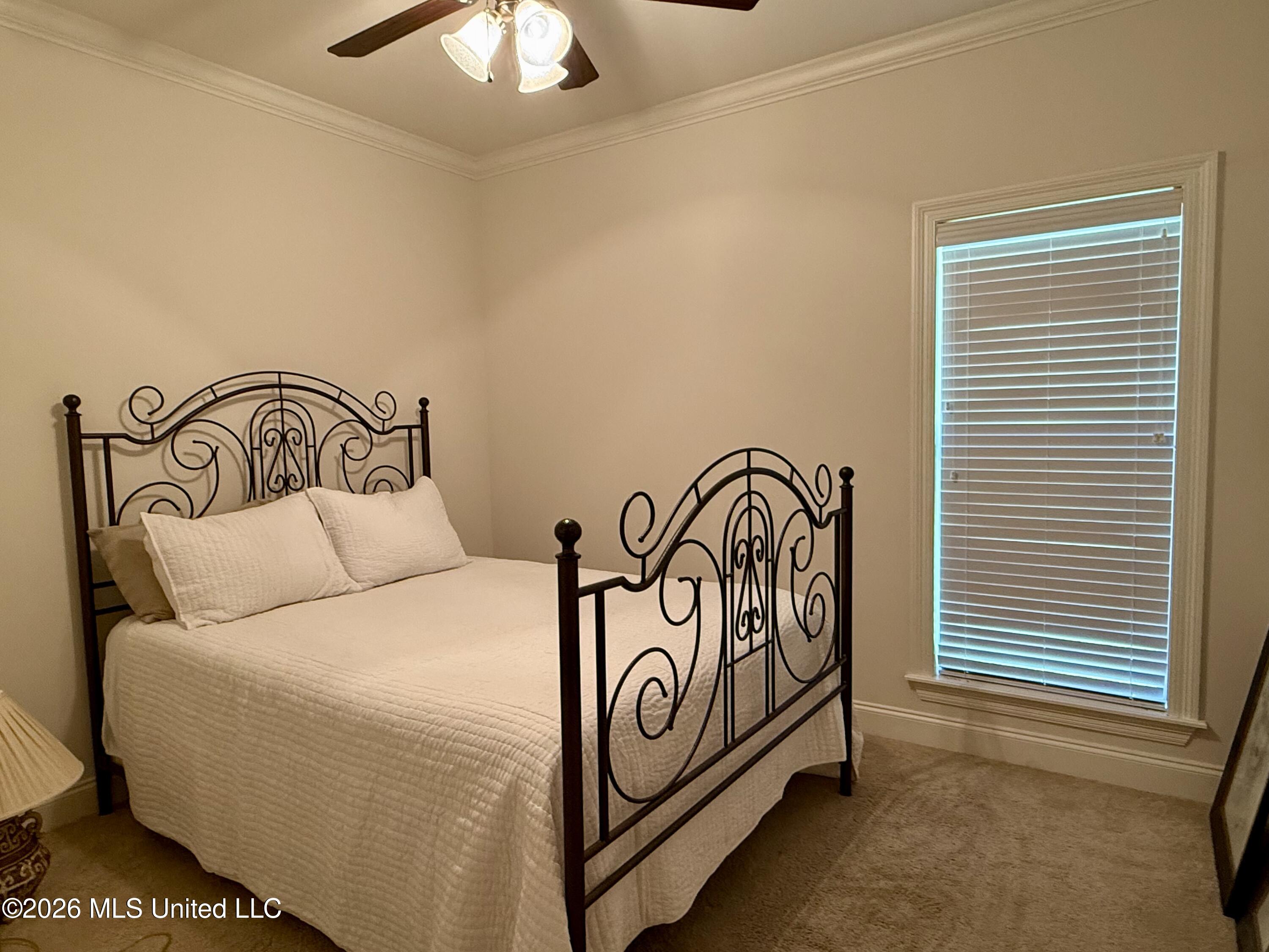 242 Falls Crossing Property Photo 20