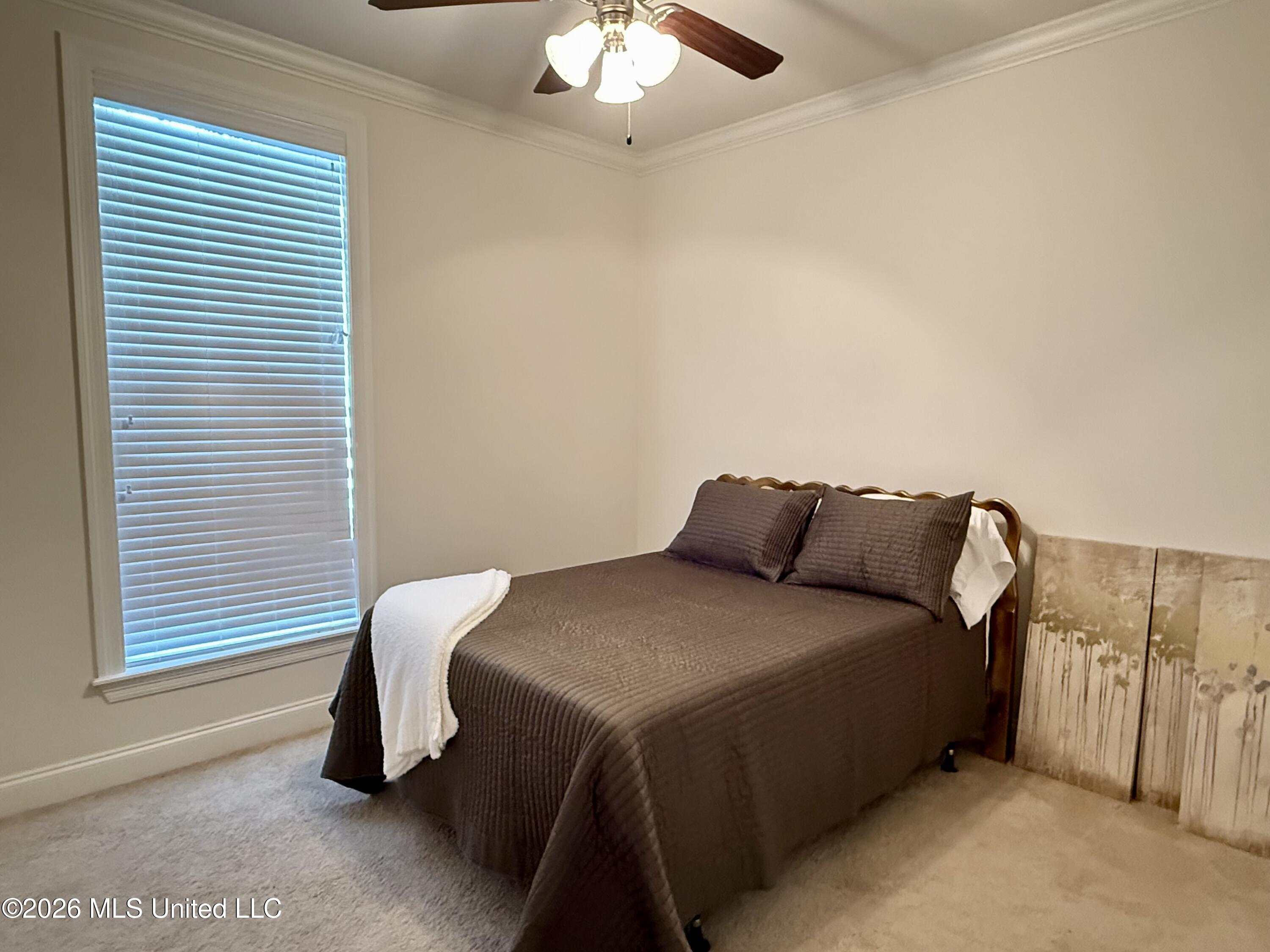 242 Falls Crossing Property Photo 21