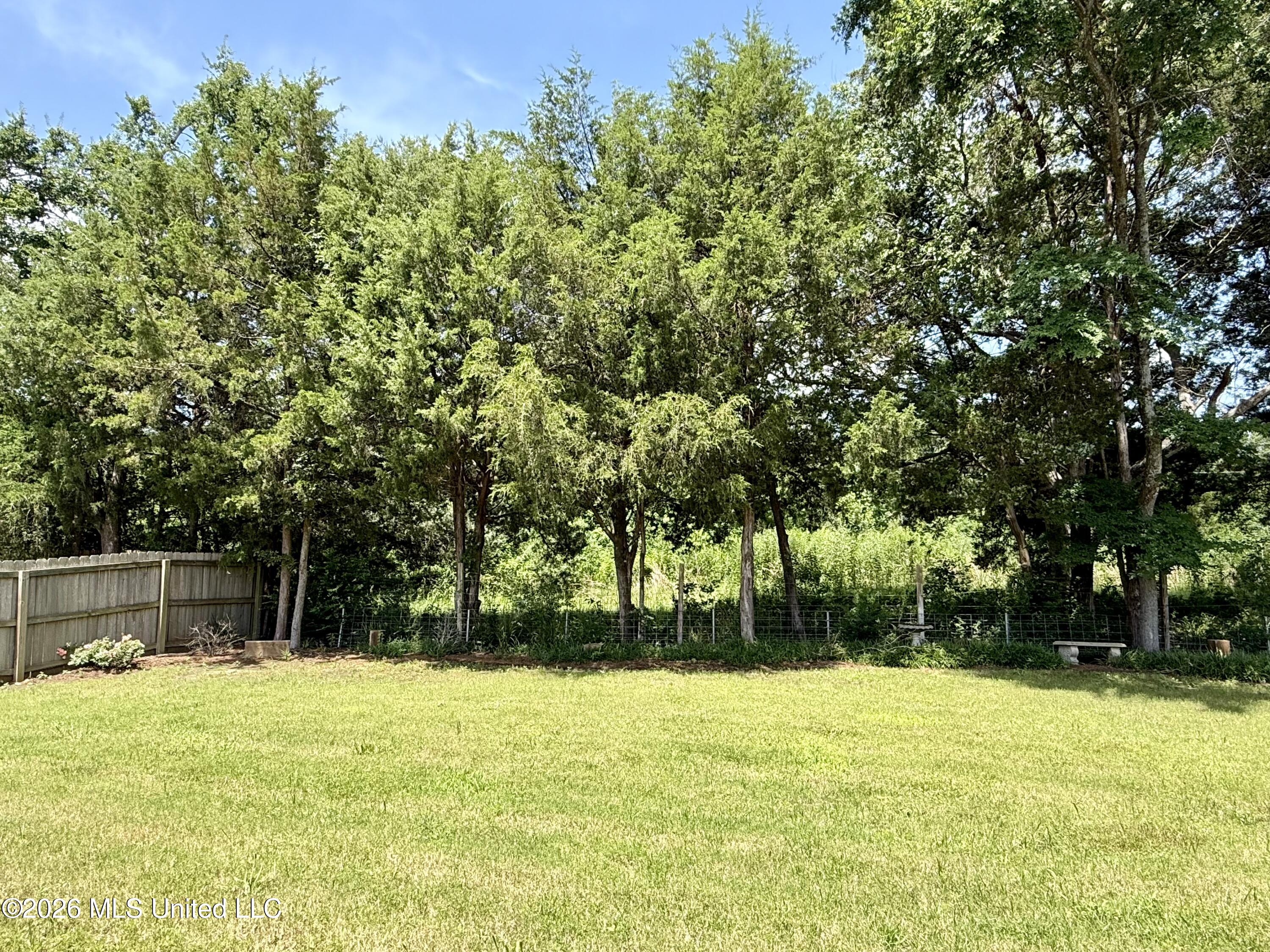 242 Falls Crossing Property Photo 25