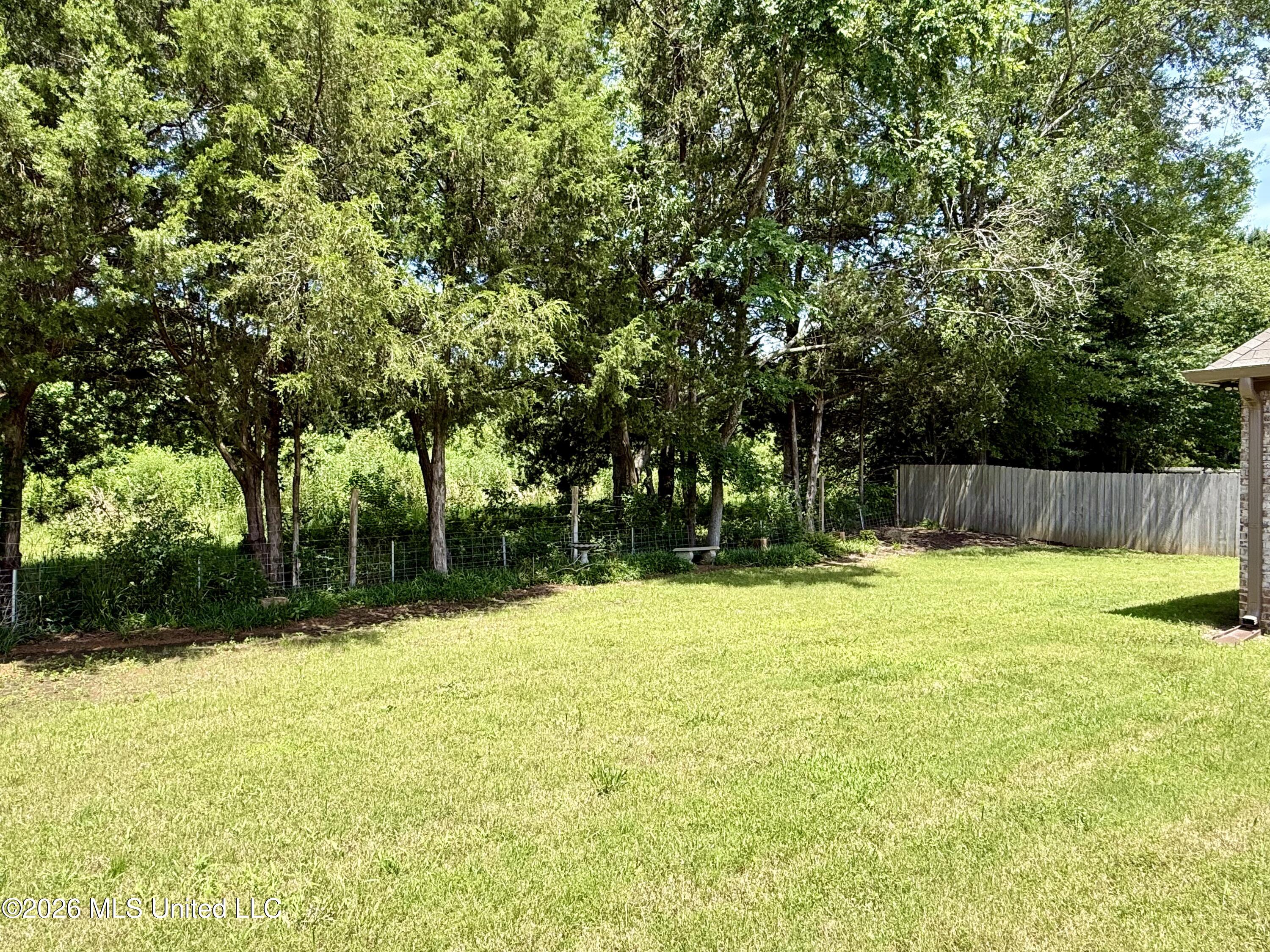 242 Falls Crossing Property Photo 26