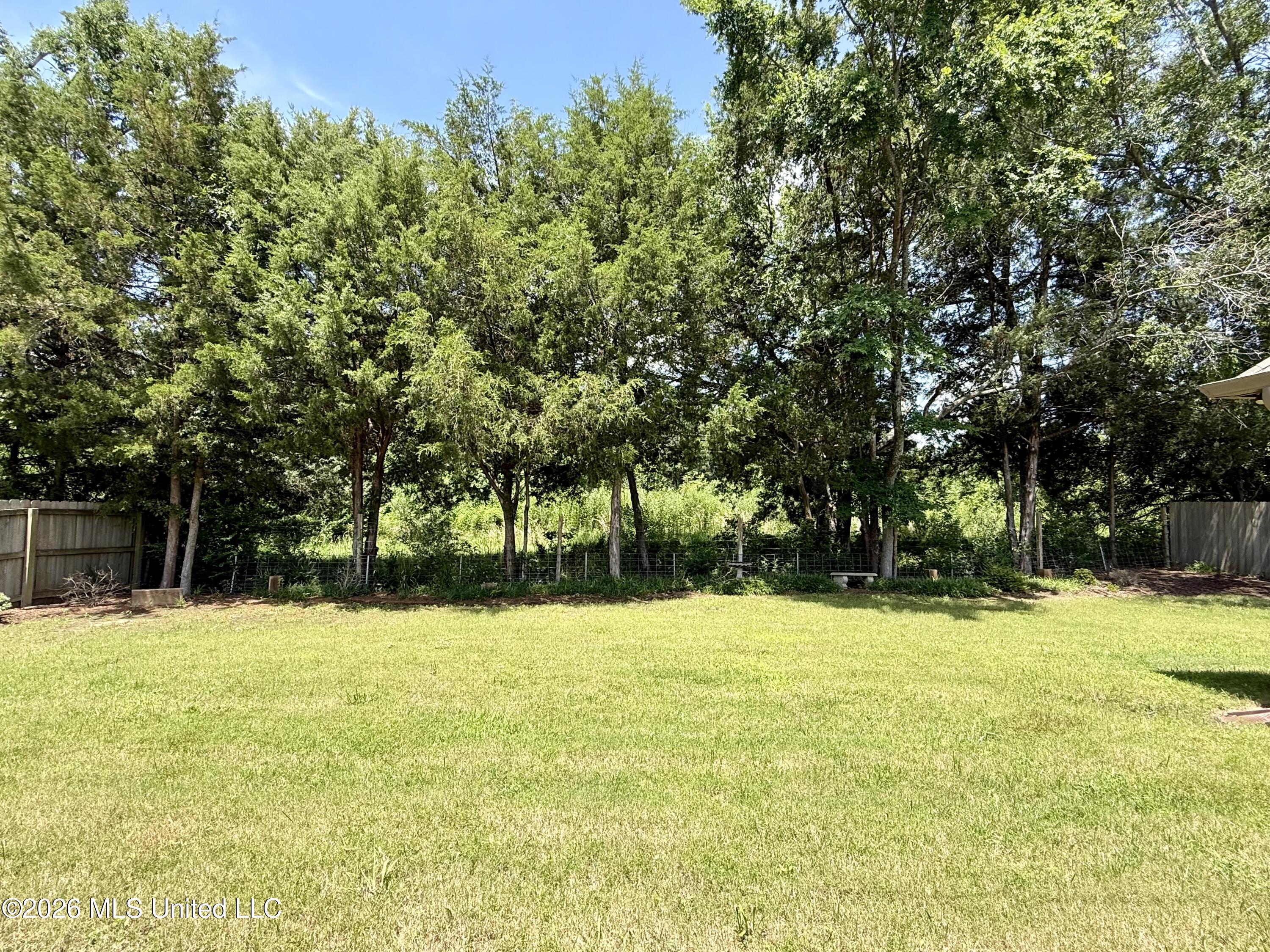 242 Falls Crossing Property Photo 28