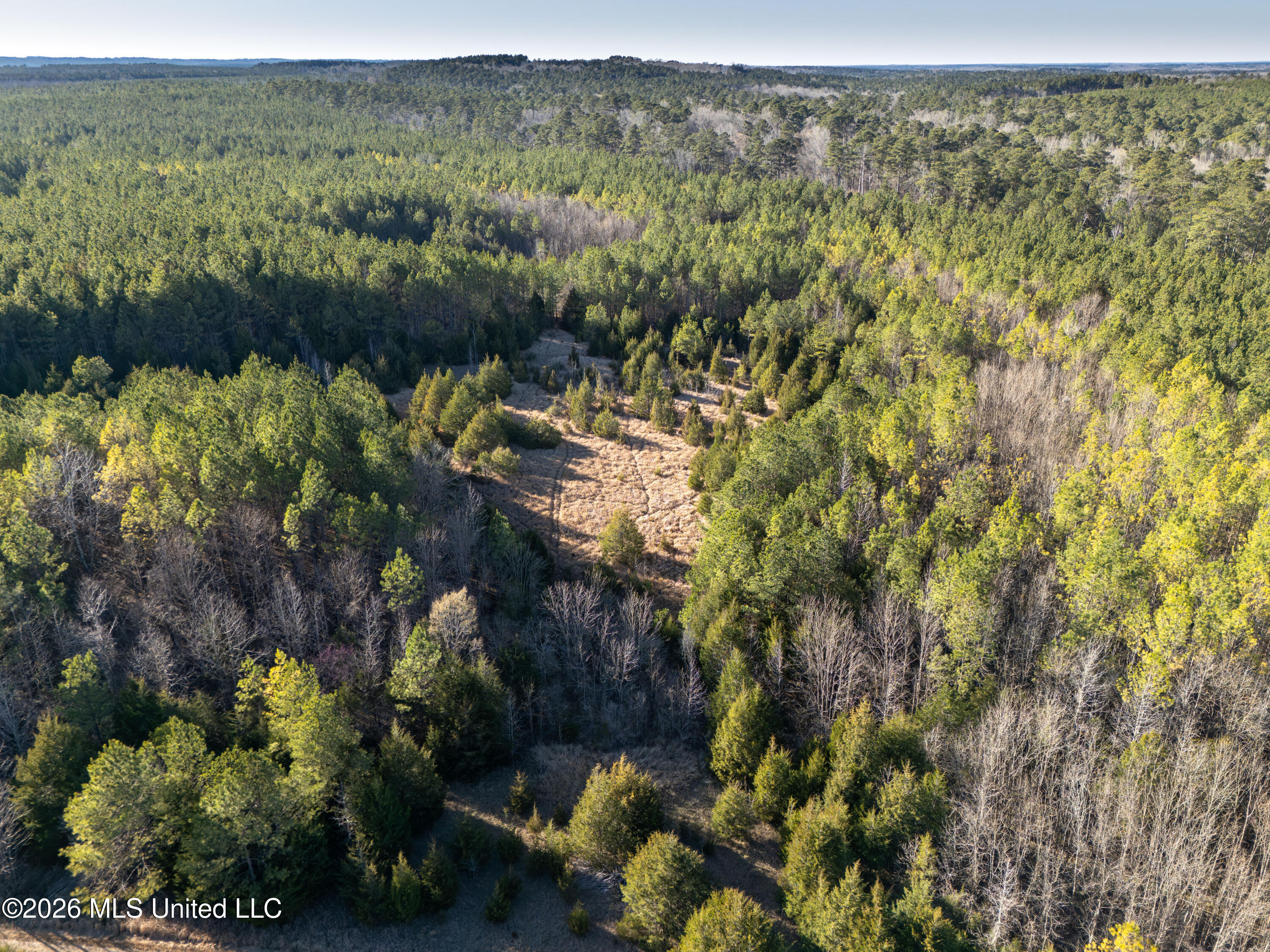 County Road 2414 Property Photo 3