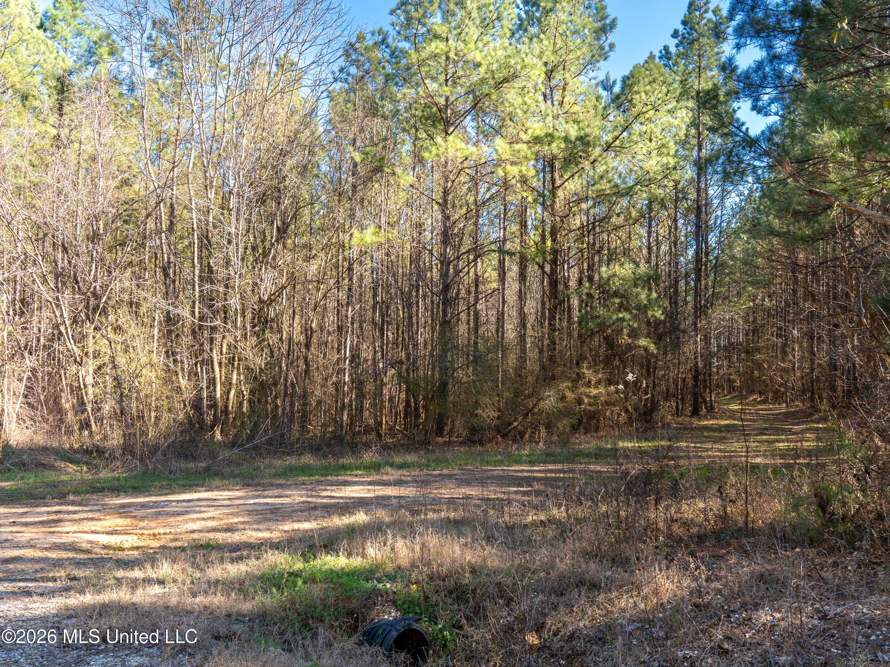 County Road 2414 Property Photo 20