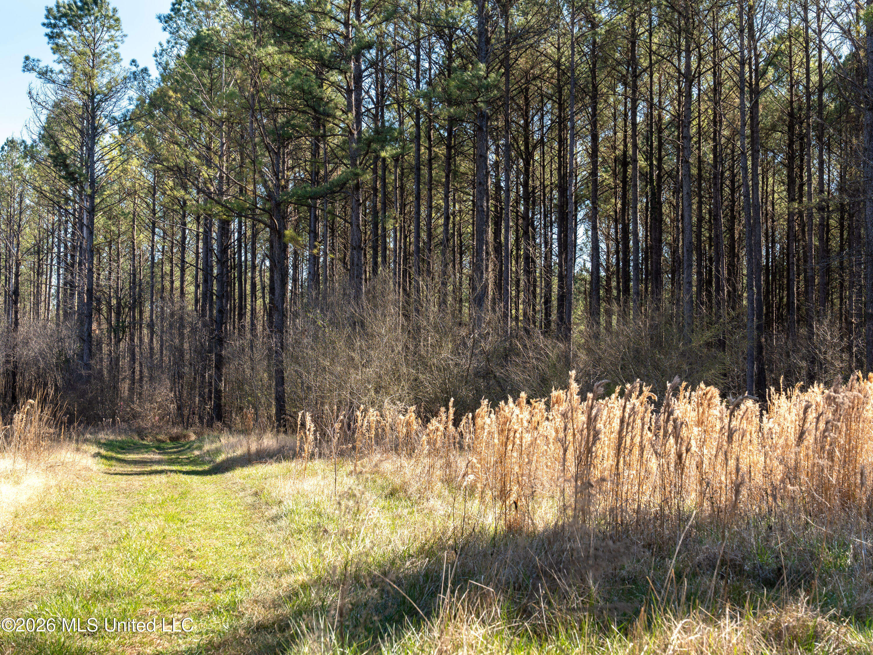 County Road 2414 Property Photo 26
