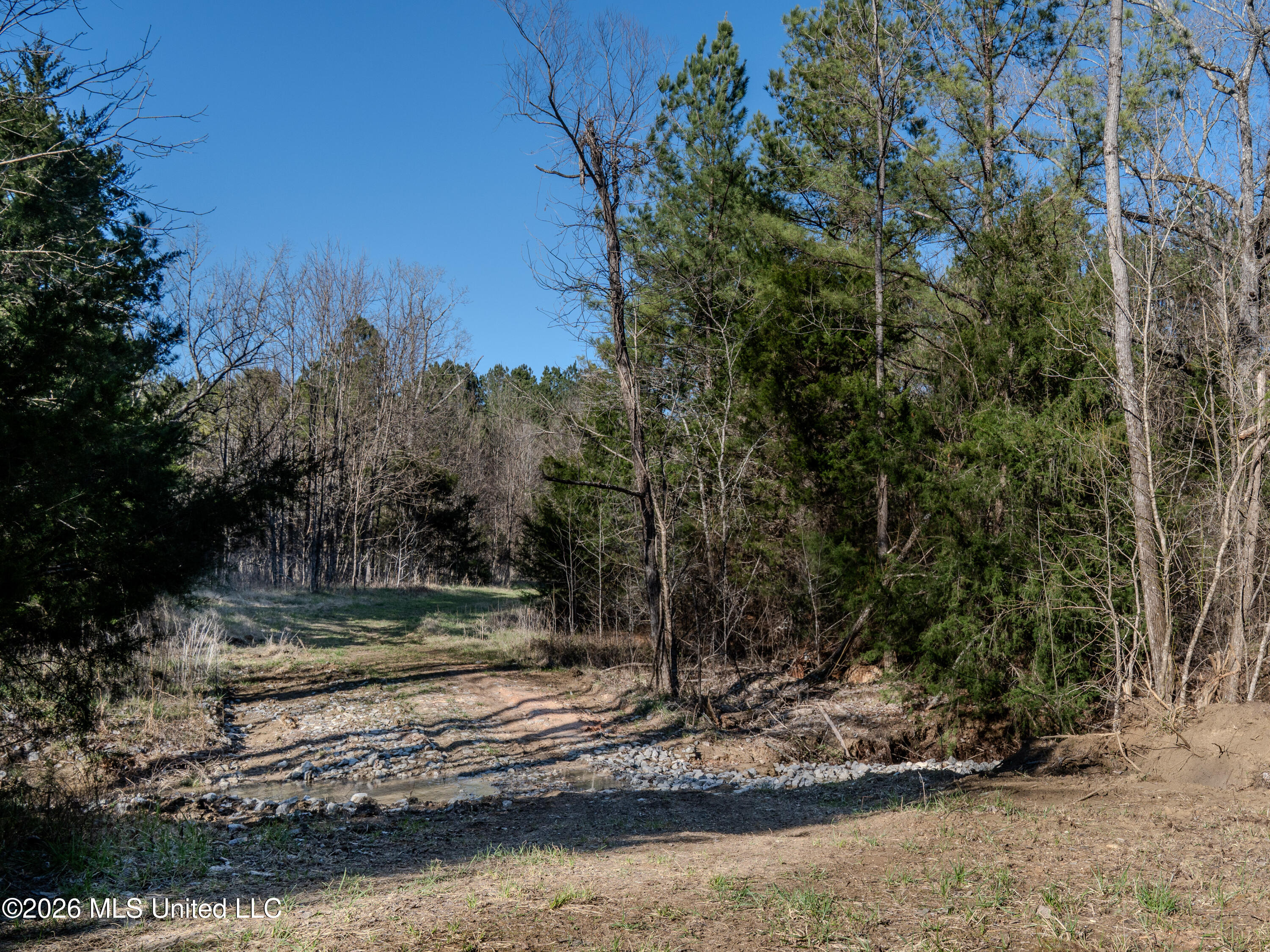 County Road 2414 Property Photo 27