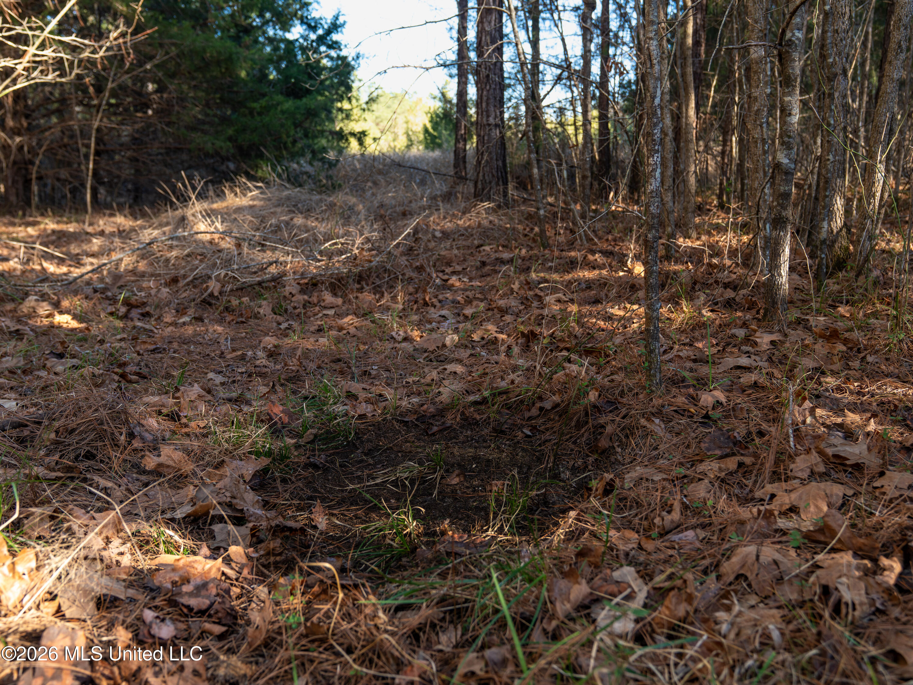 County Road 2414 Property Photo 29