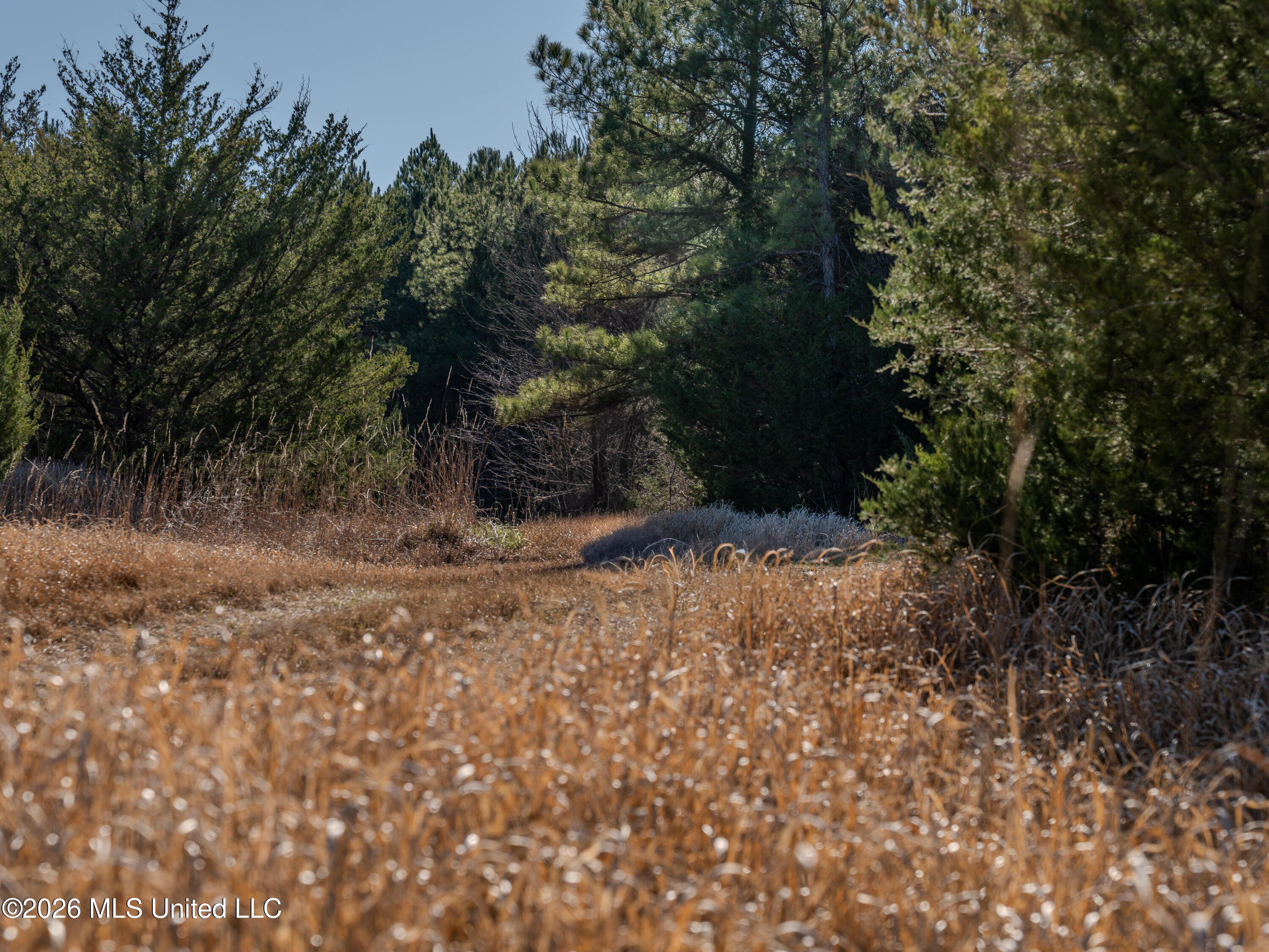 County Road 2414 Property Photo 32