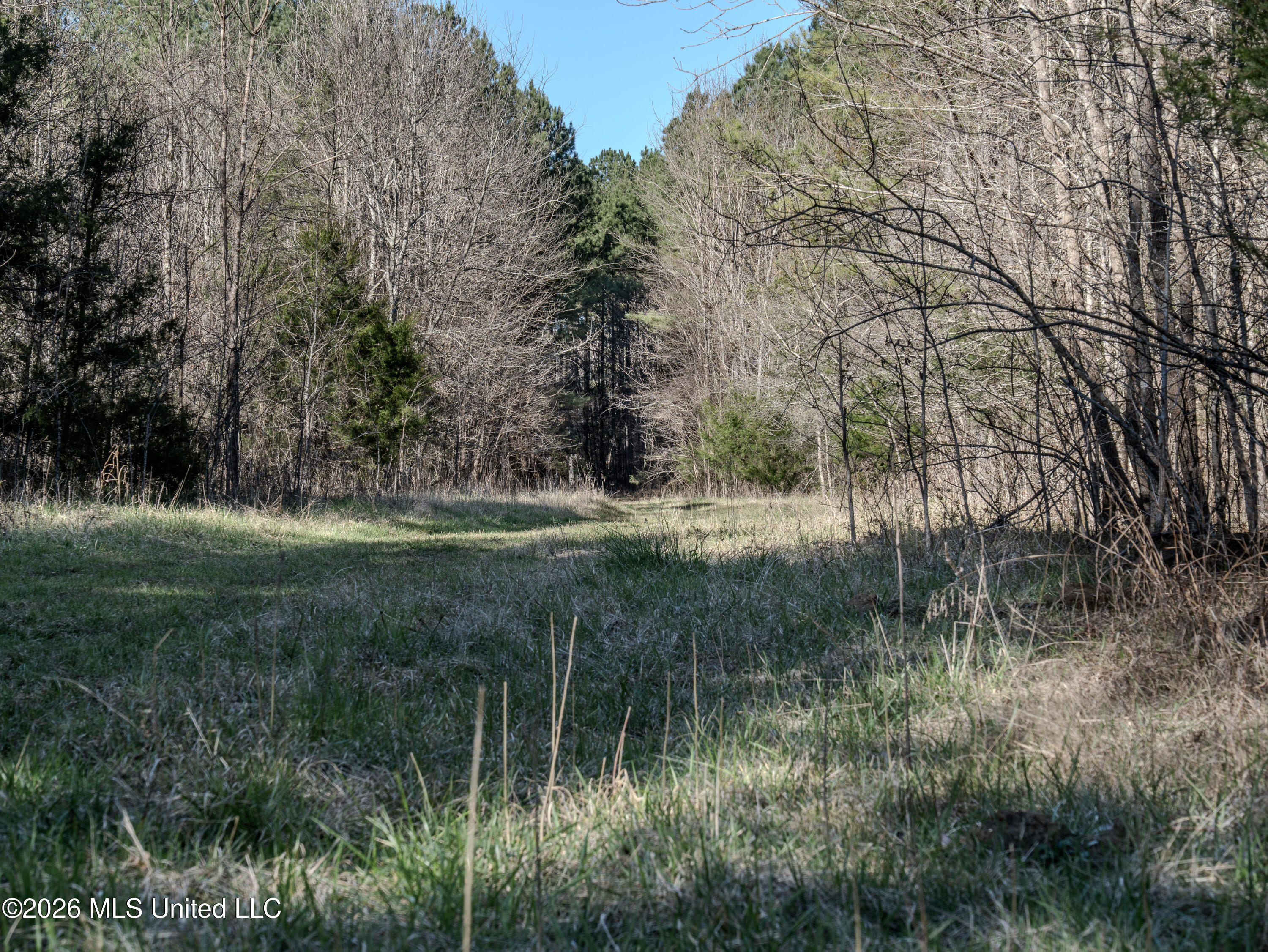 County Road 2414 Property Photo 34