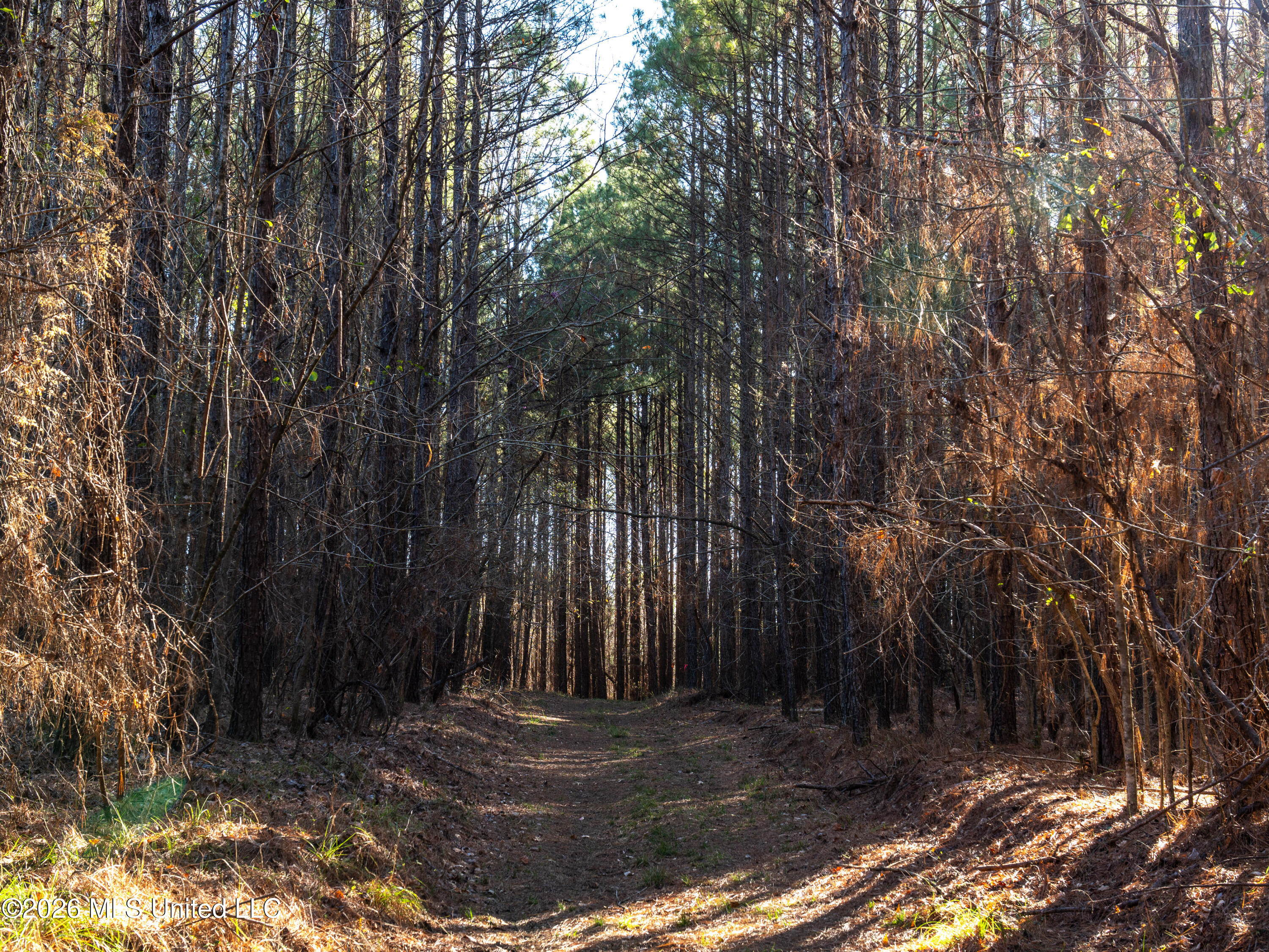 County Road 2414 Property Photo 37