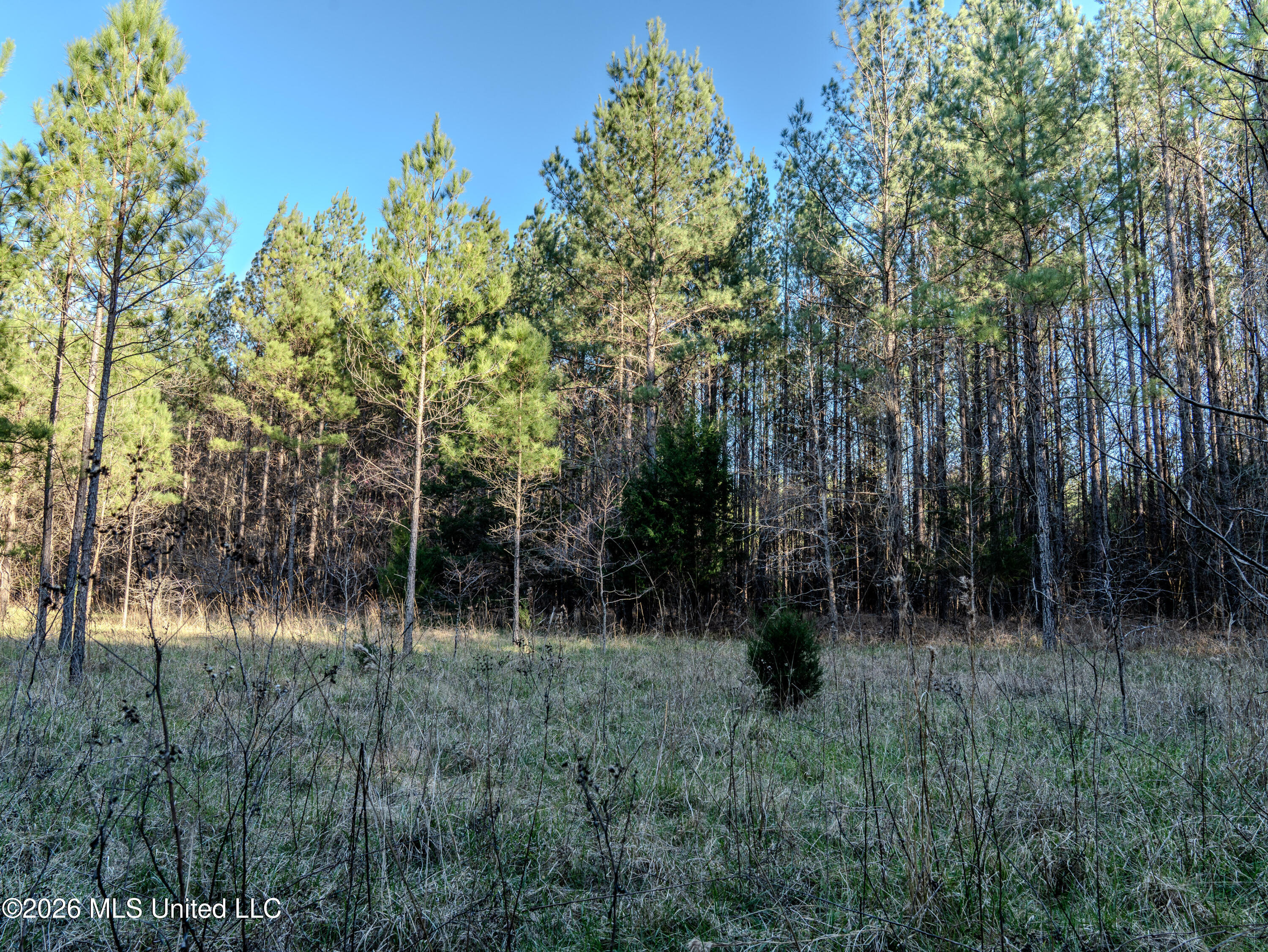 County Road 2414 Property Photo 40