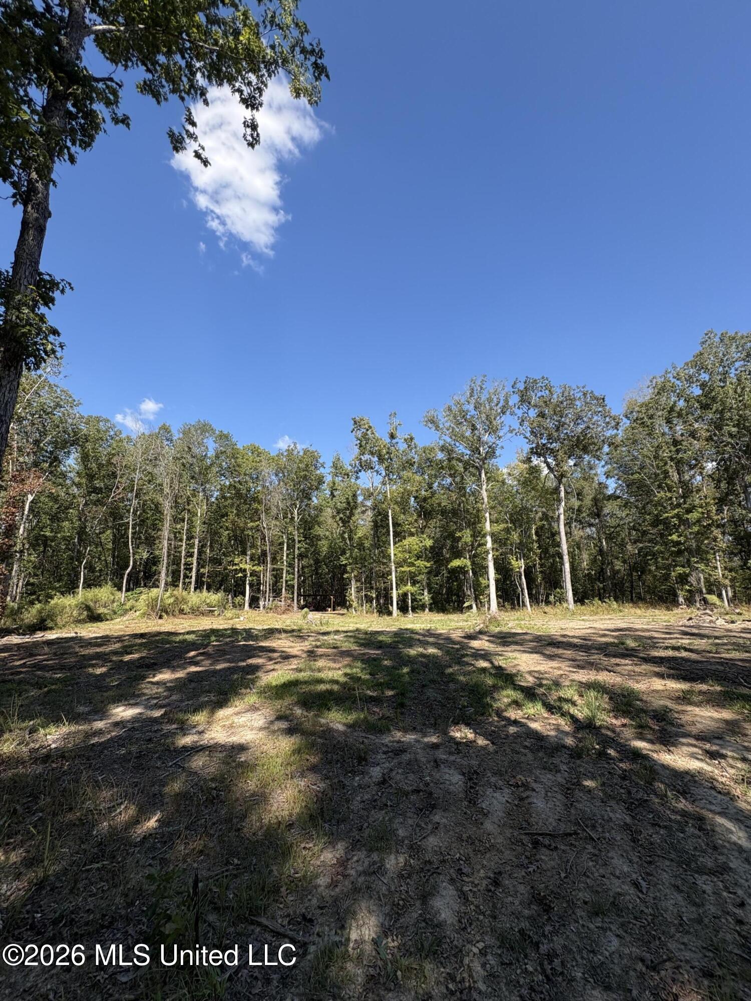 229 Barnes Road Property Photo 10