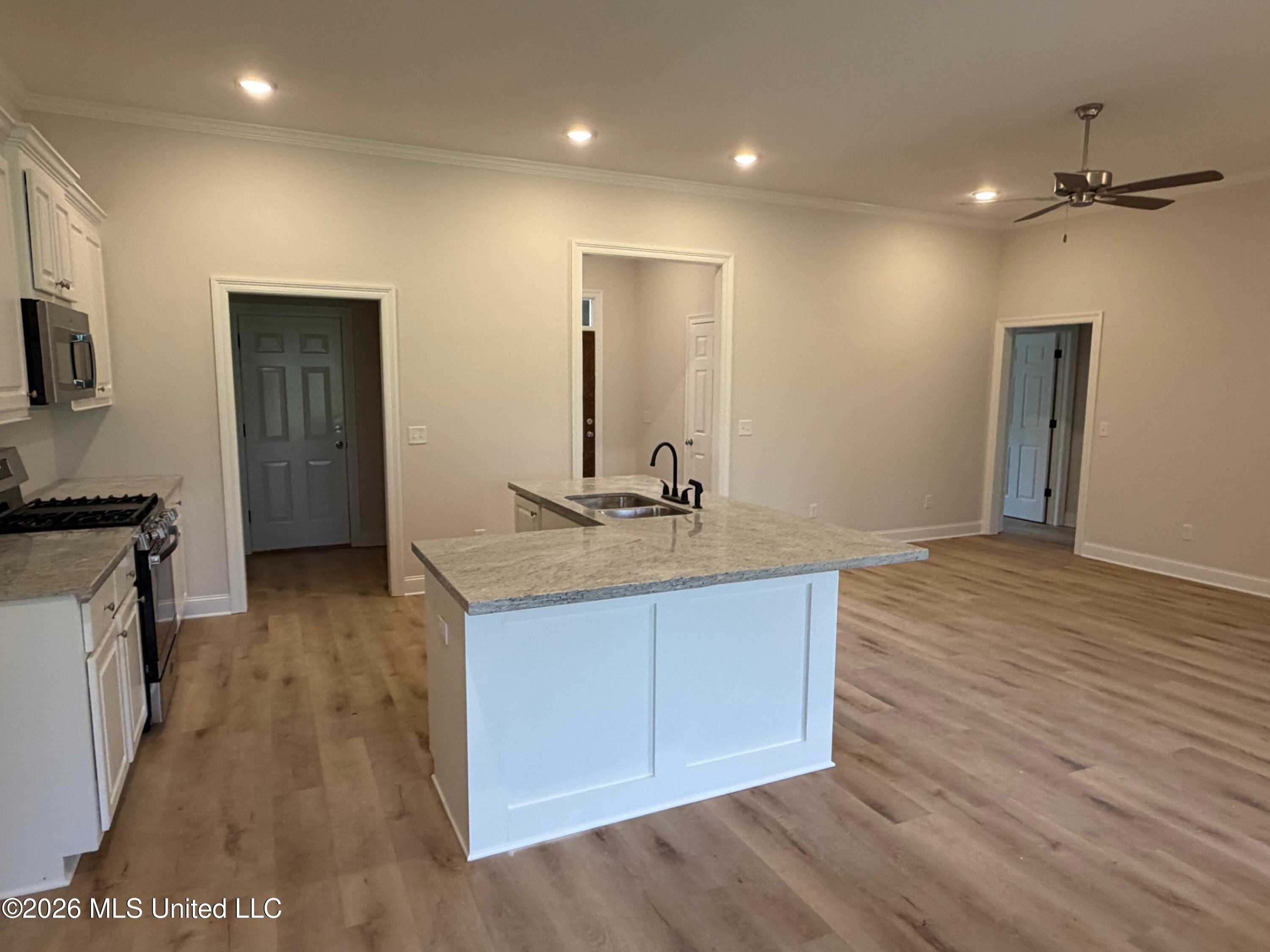 541 Patrick Farms Drive Property Photo 4