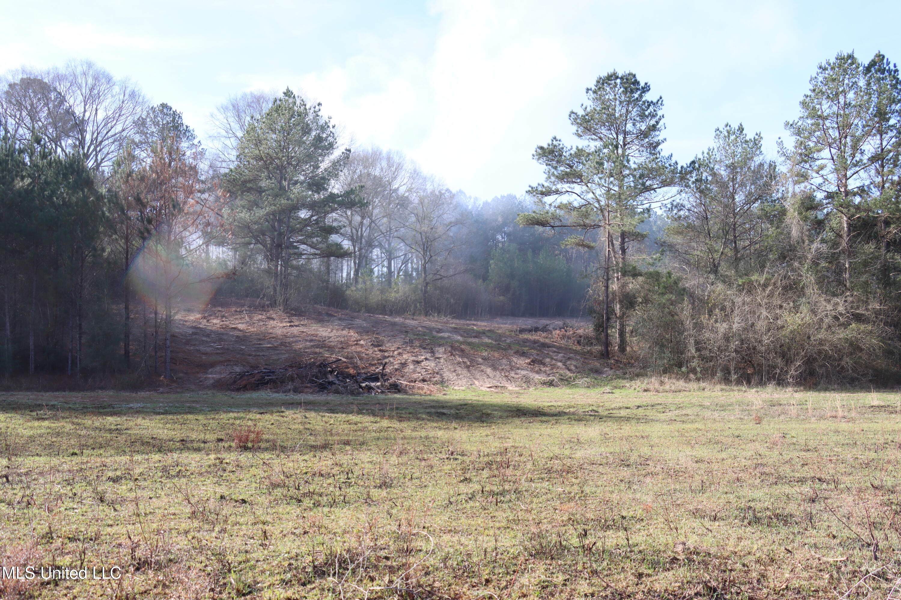 1270 Hilt Fornea Road Property Photo 6