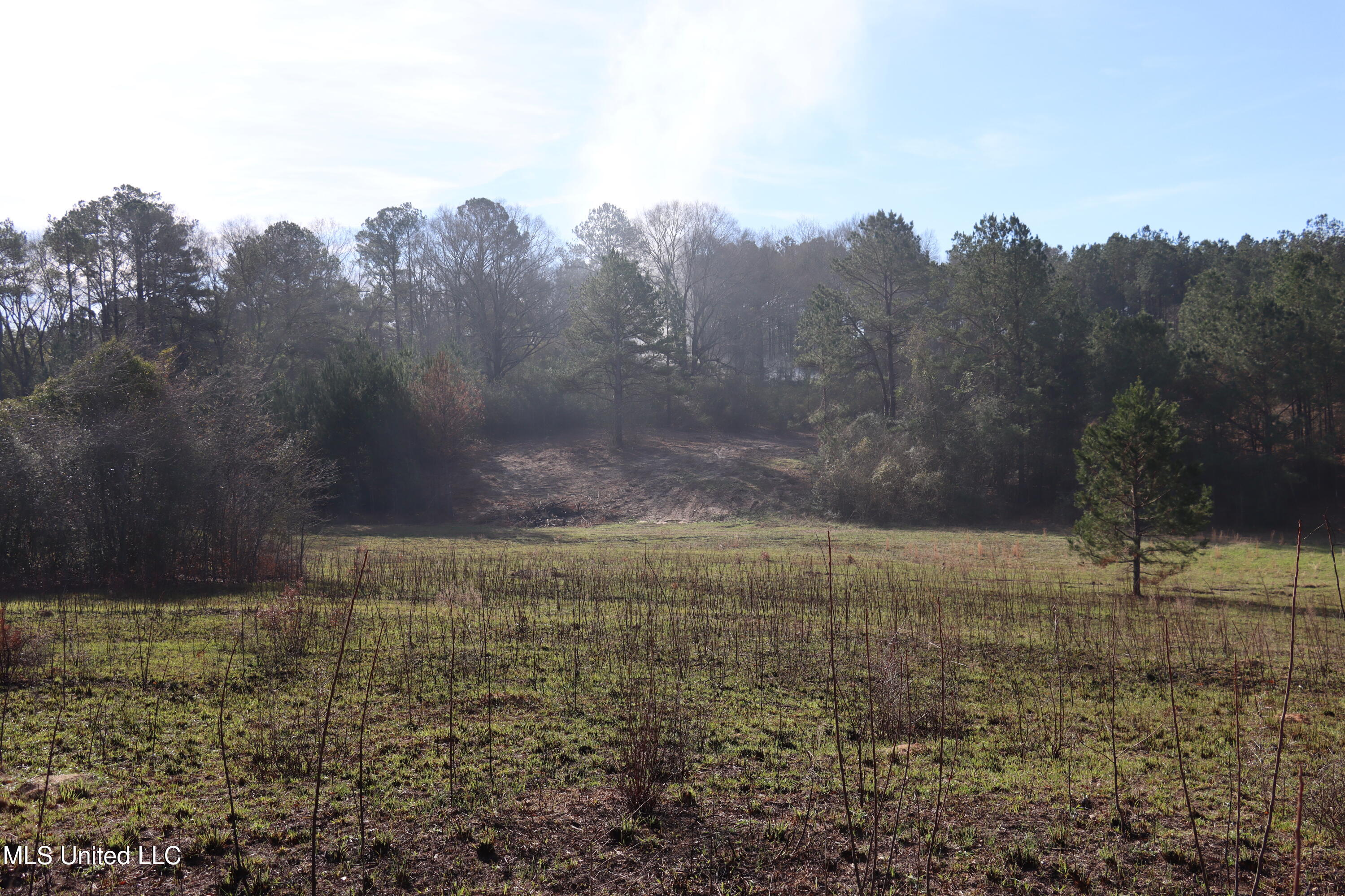 1270 Hilt Fornea Road Property Photo 7