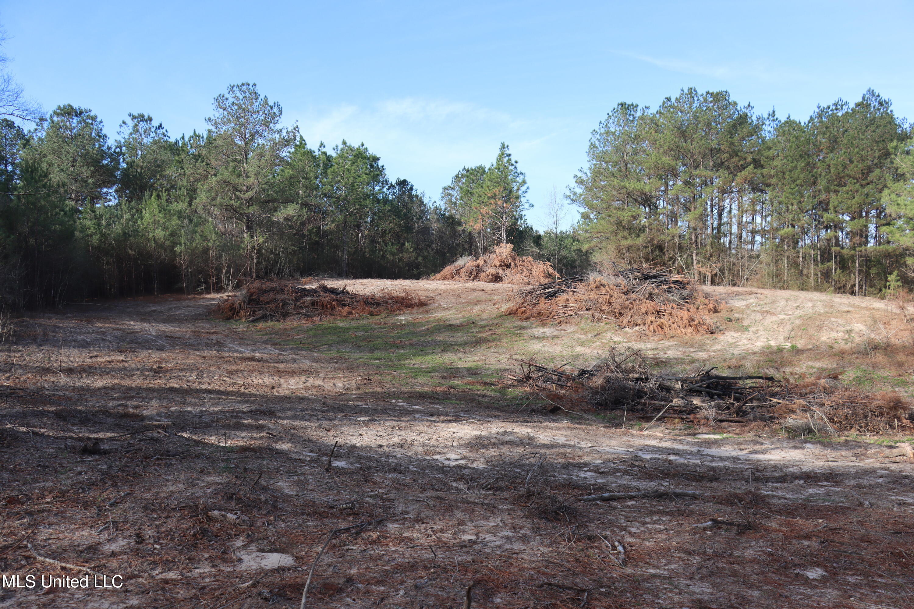1270 Hilt Fornea Road Property Photo 8