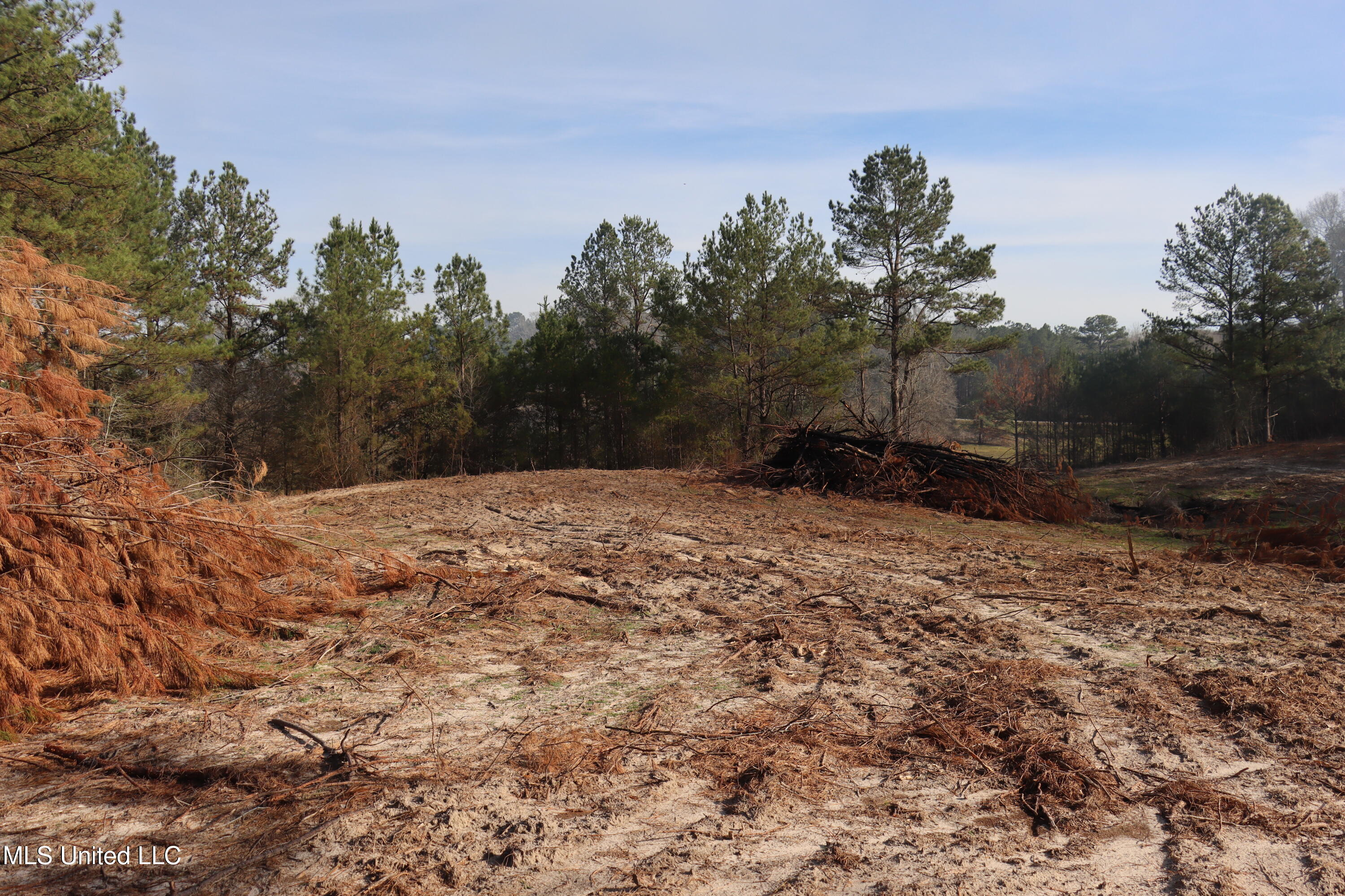 1270 Hilt Fornea Road Property Photo 10