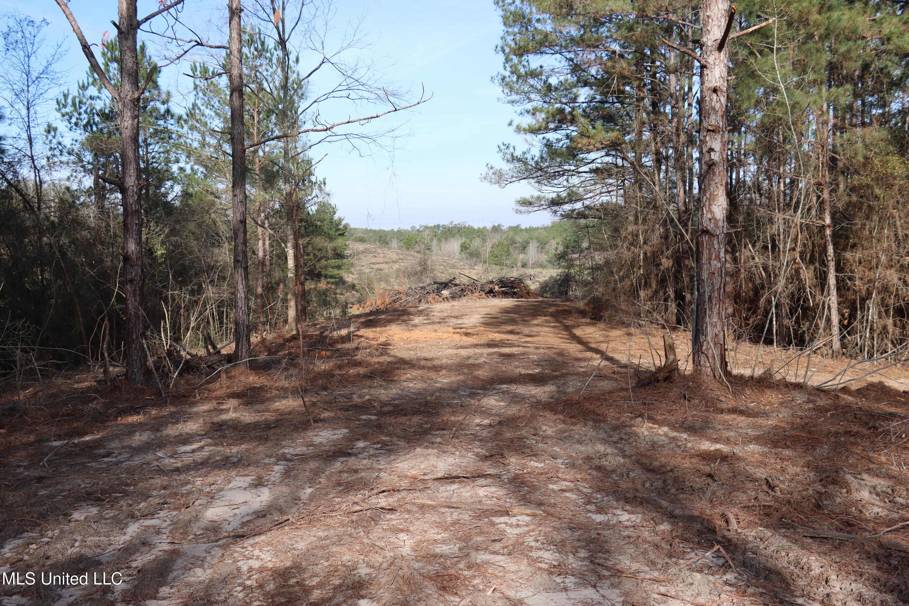 1270 Hilt Fornea Road Property Photo 11