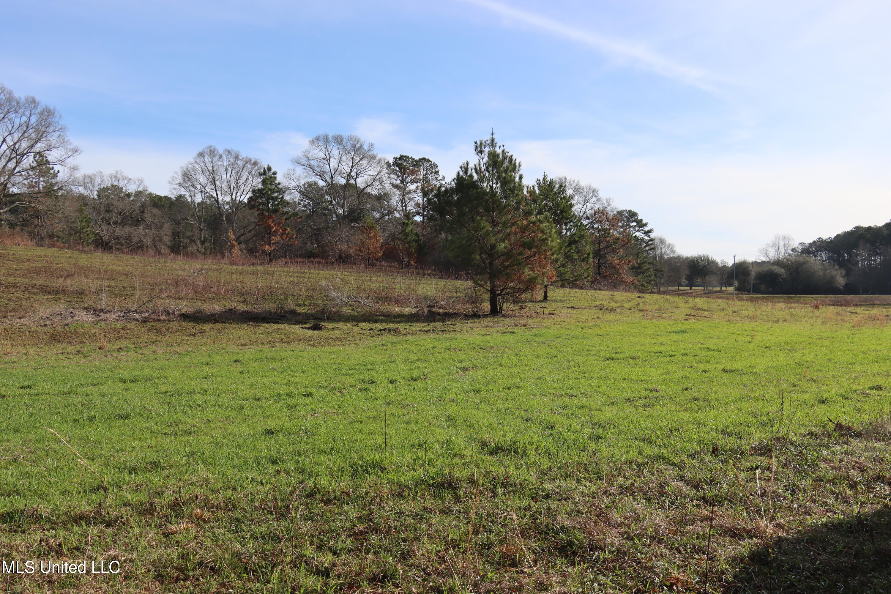 1270 Hilt Fornea Road Property Photo 13