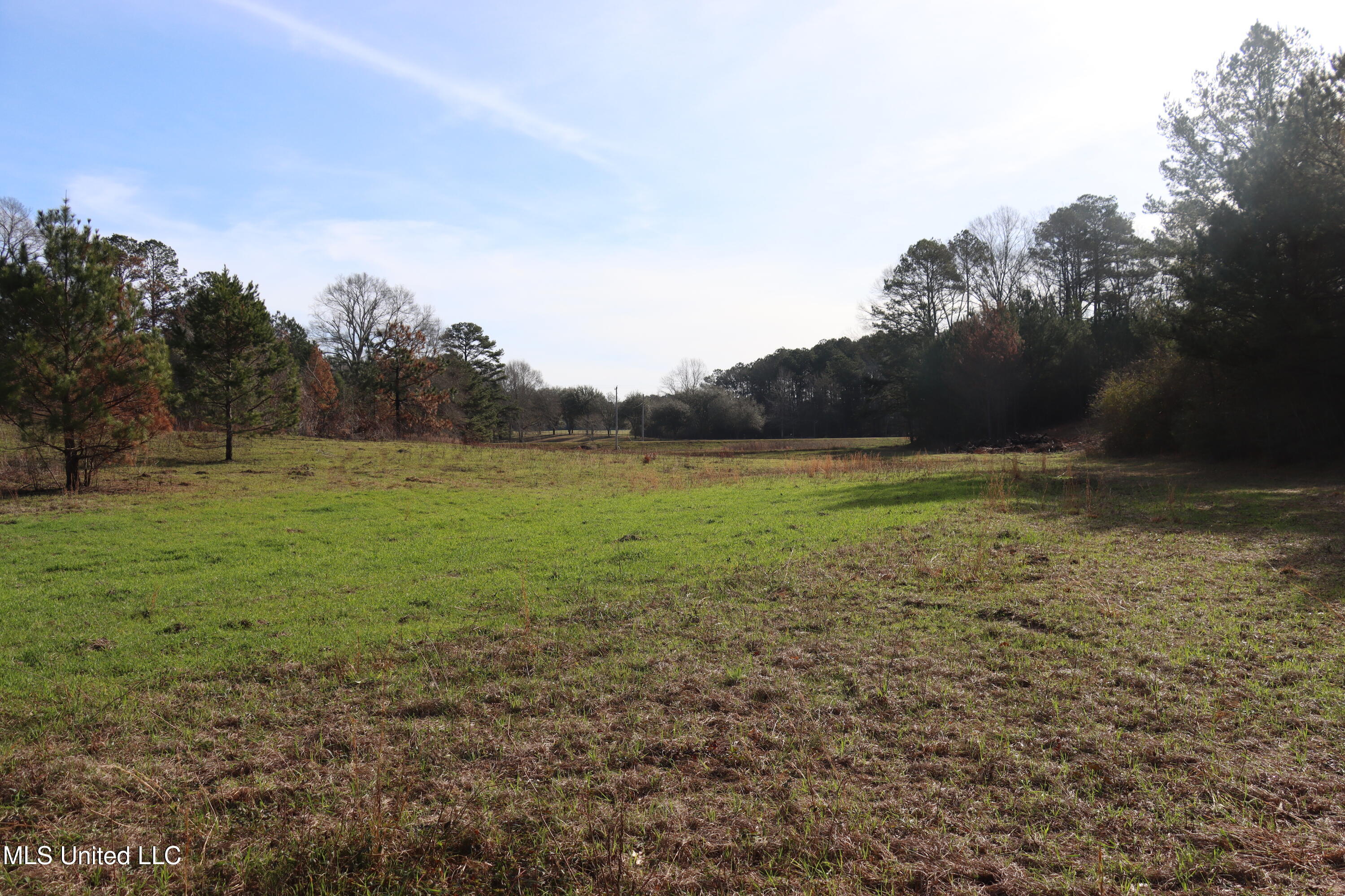 1270 Hilt Fornea Road Property Photo 14