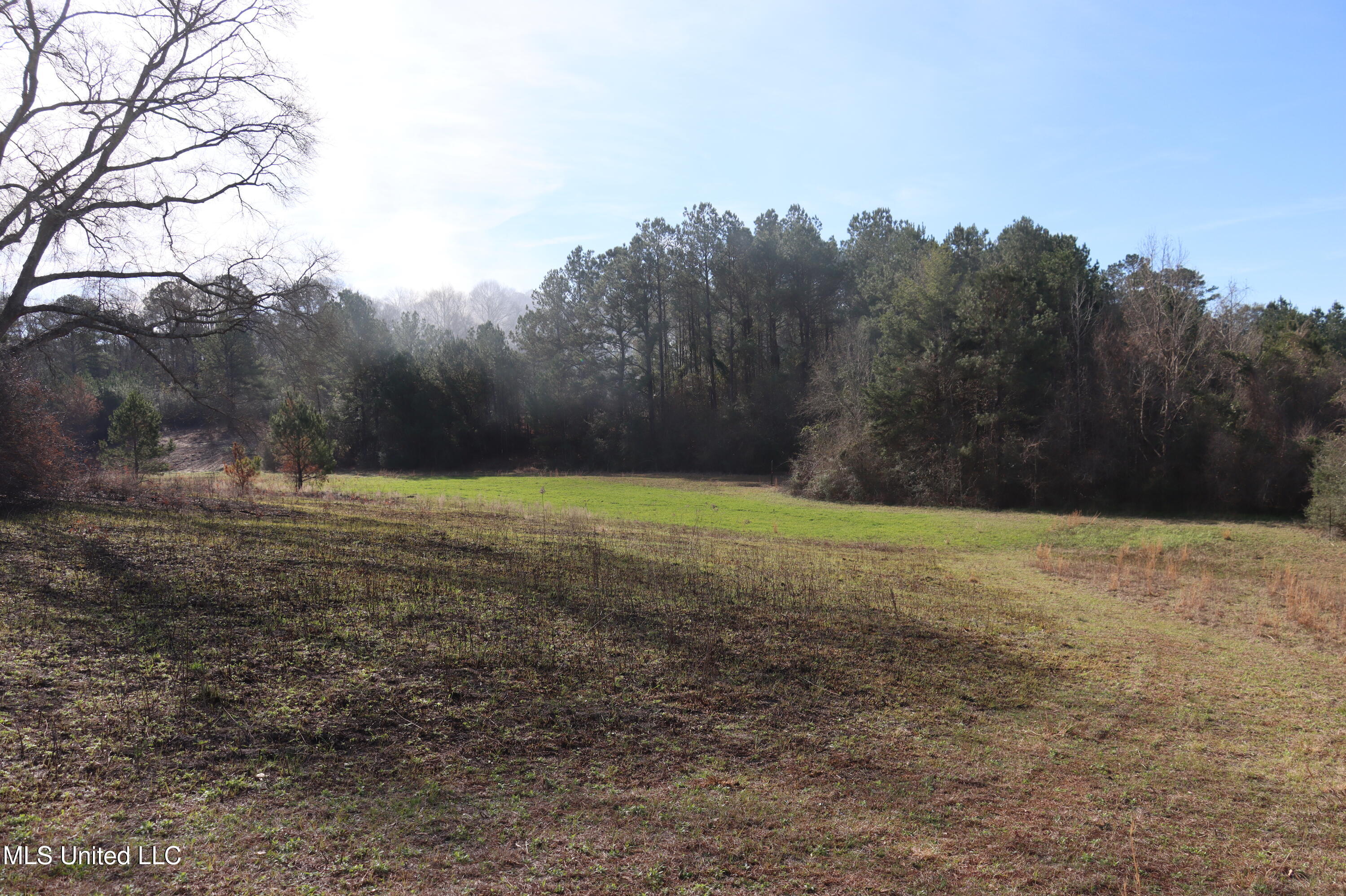 1270 Hilt Fornea Road Property Photo 15