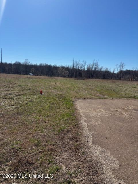 4587 Grazeland Drive Property Photo 2
