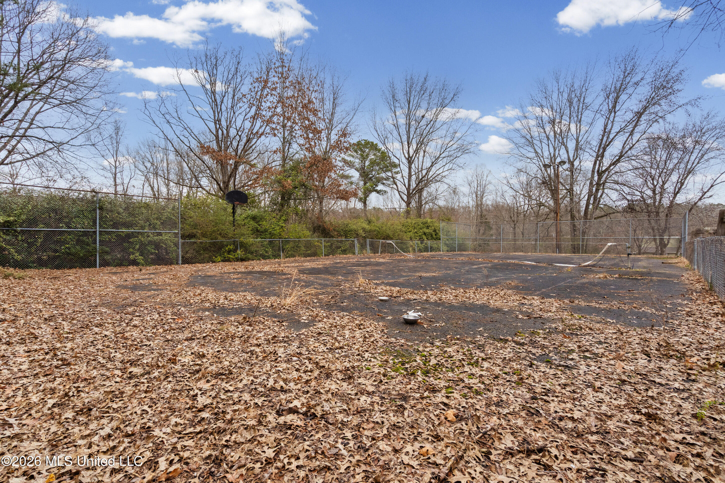165 Devils Backbone Road Property Photo 6
