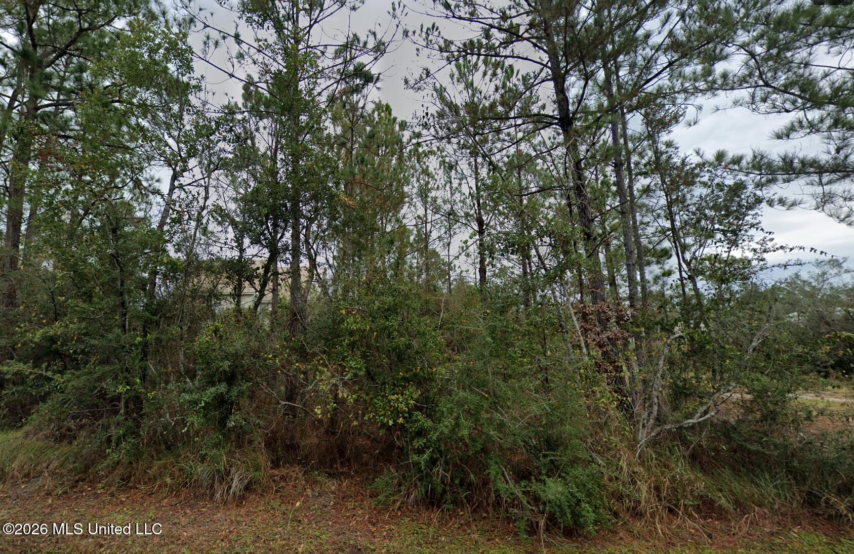 Dolphin Street Property Photo 1