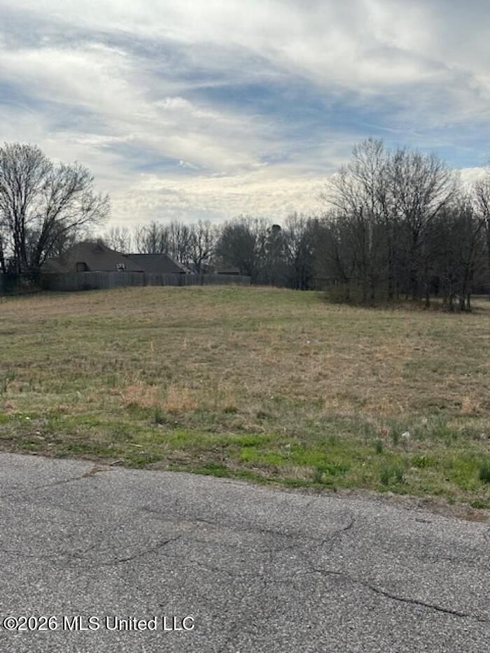 W Alden Lake Dr. Property Photo 4
