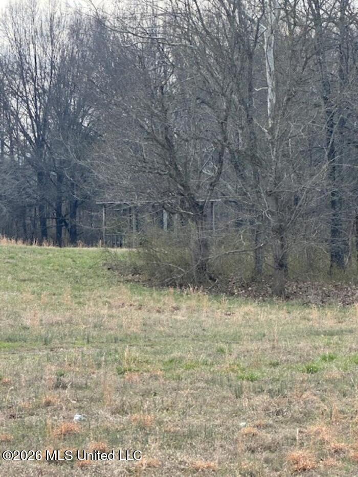 W Alden Lake Dr. Property Photo 5
