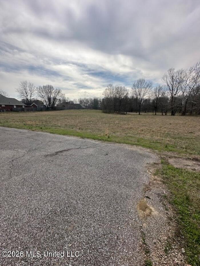 W Alden Lake Dr. Property Photo 6