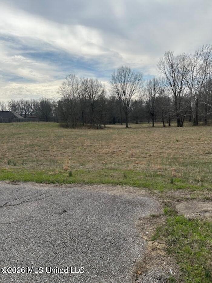 W Alden Lake Dr. Property Photo 8