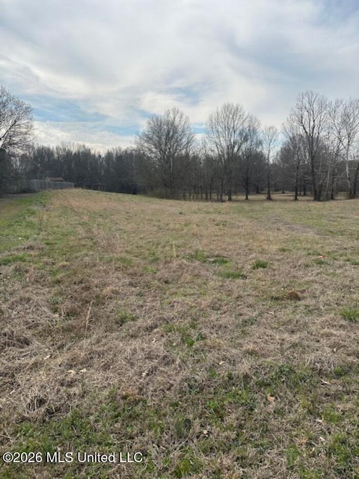 W Alden Lake Dr. Property Photo 9