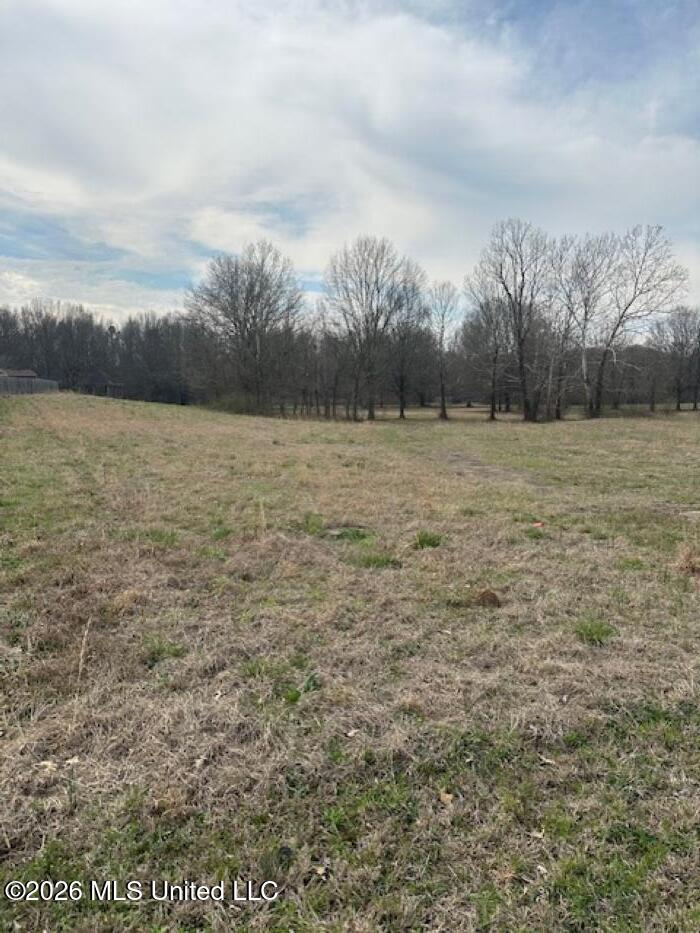 W Alden Lake Dr. Property Photo 10