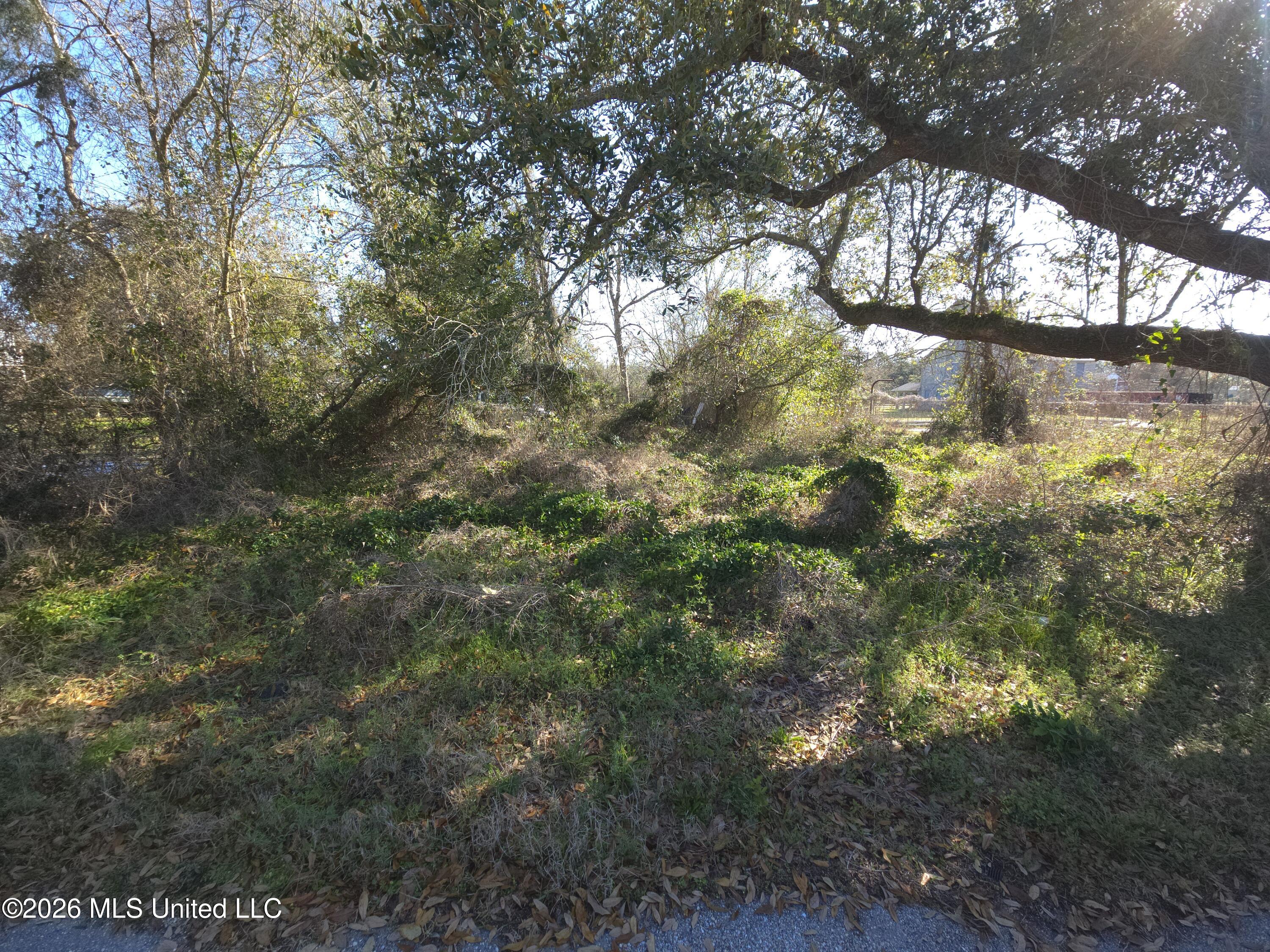 0 Hunter Avenue Property Photo 1