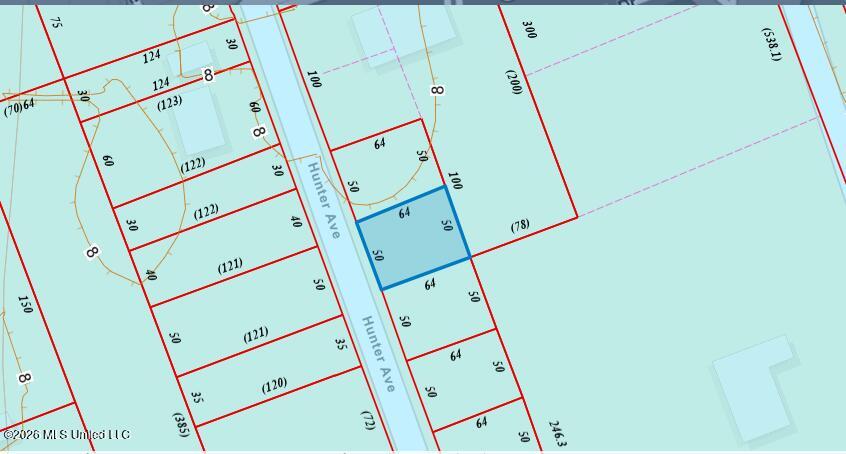 0 Hunter Avenue Property Photo 2