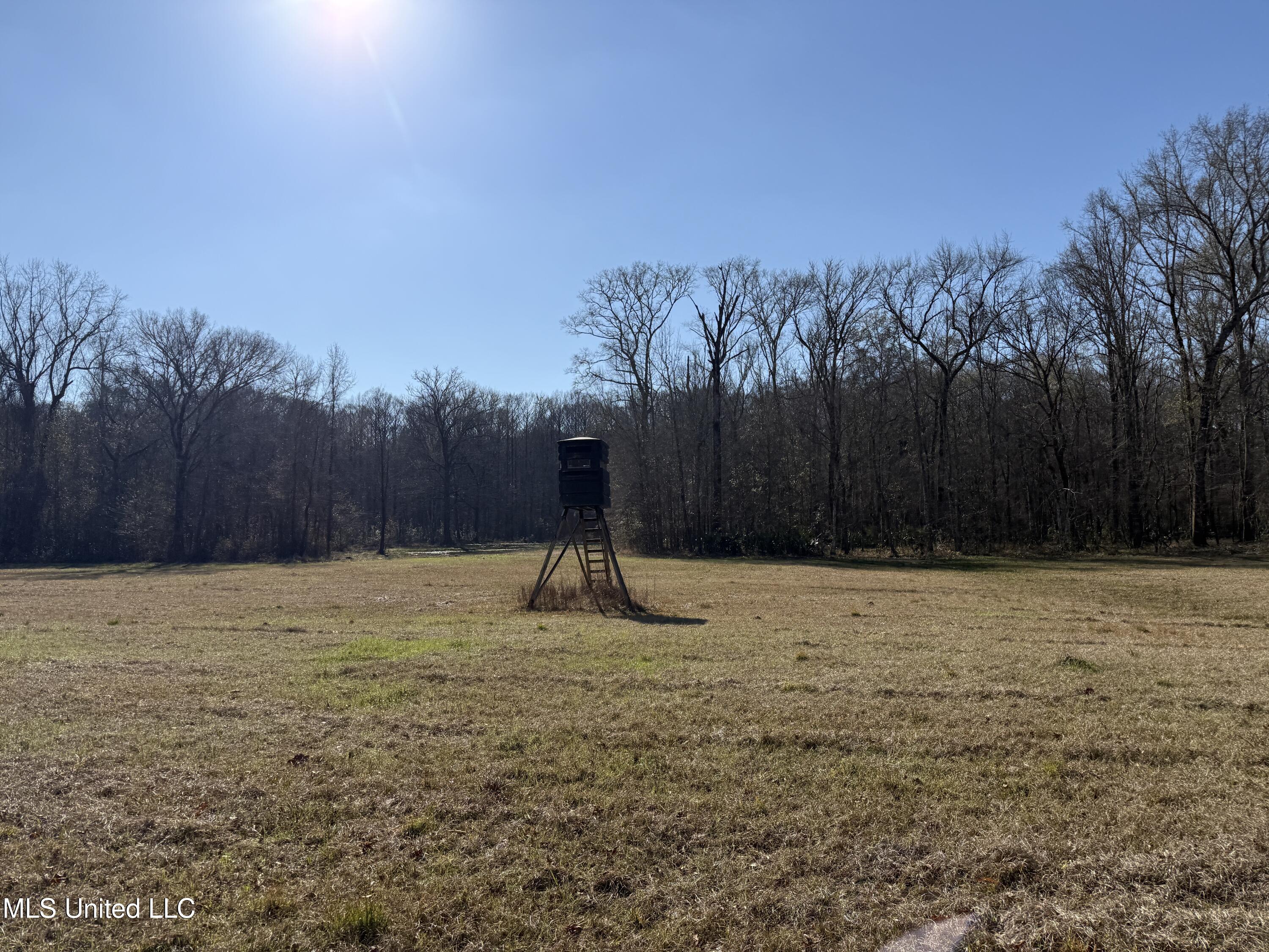 114 Huff Lane Property Photo 25
