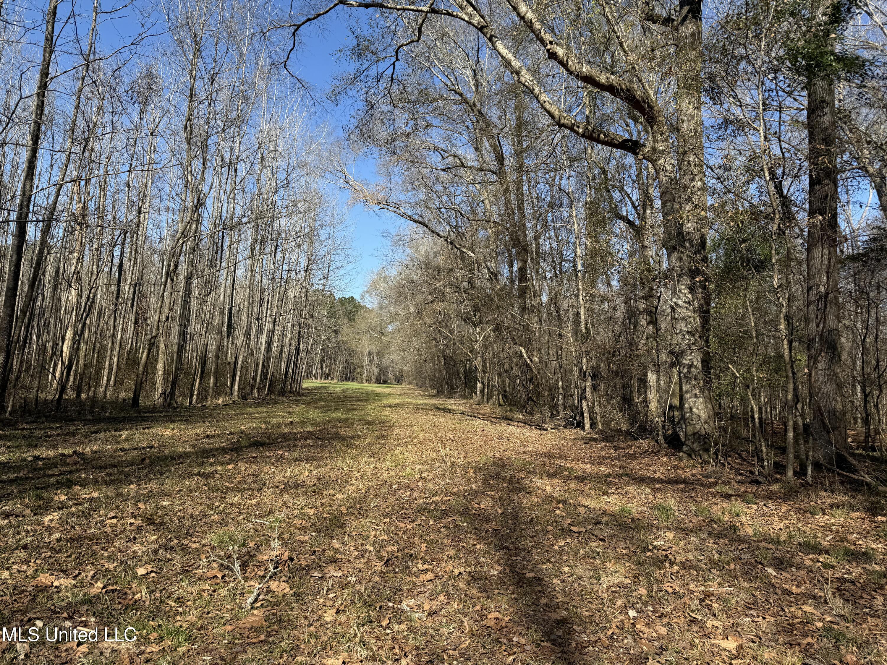 114 Huff Lane Property Photo 31