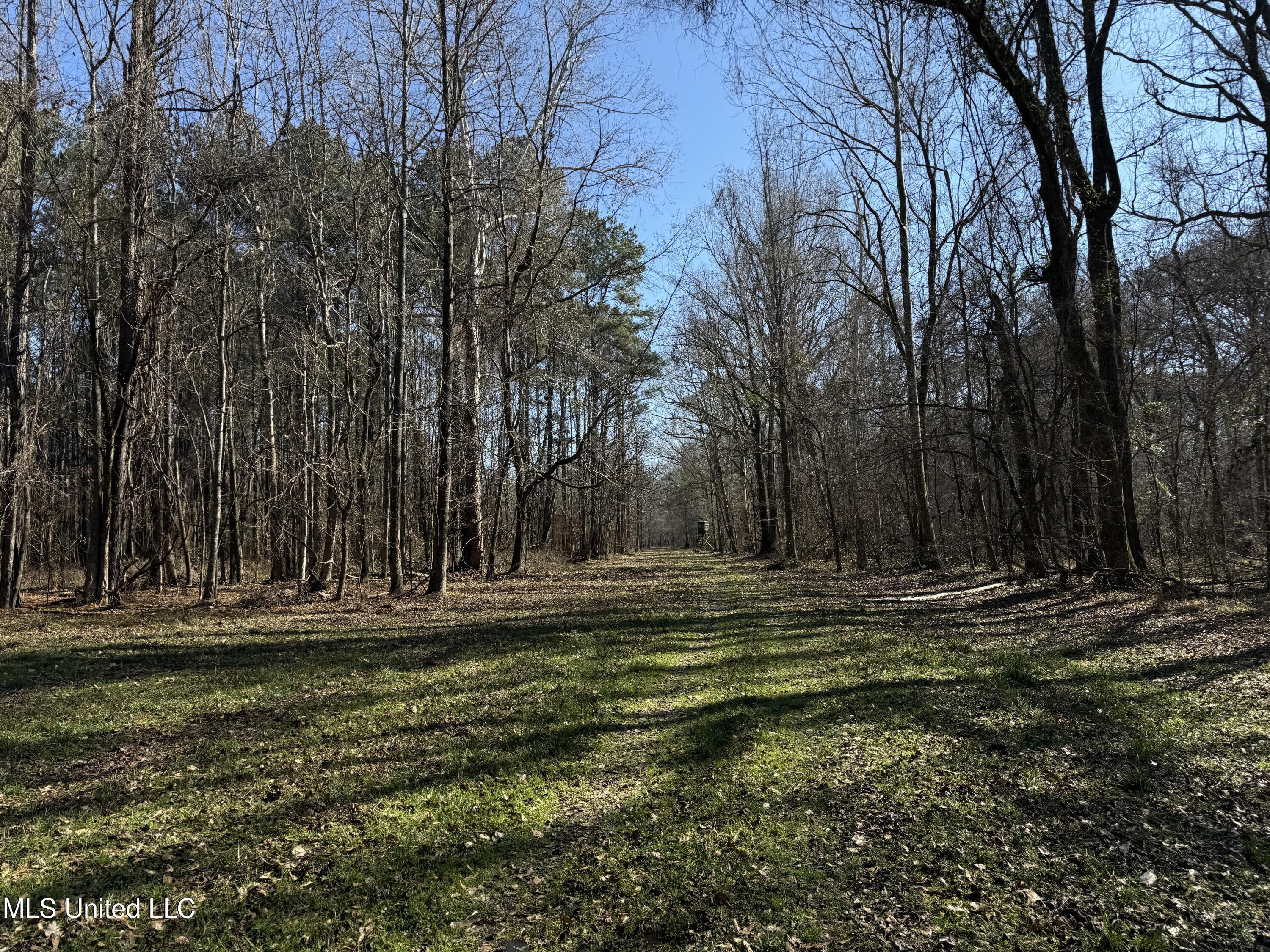 114 Huff Lane Property Photo 34