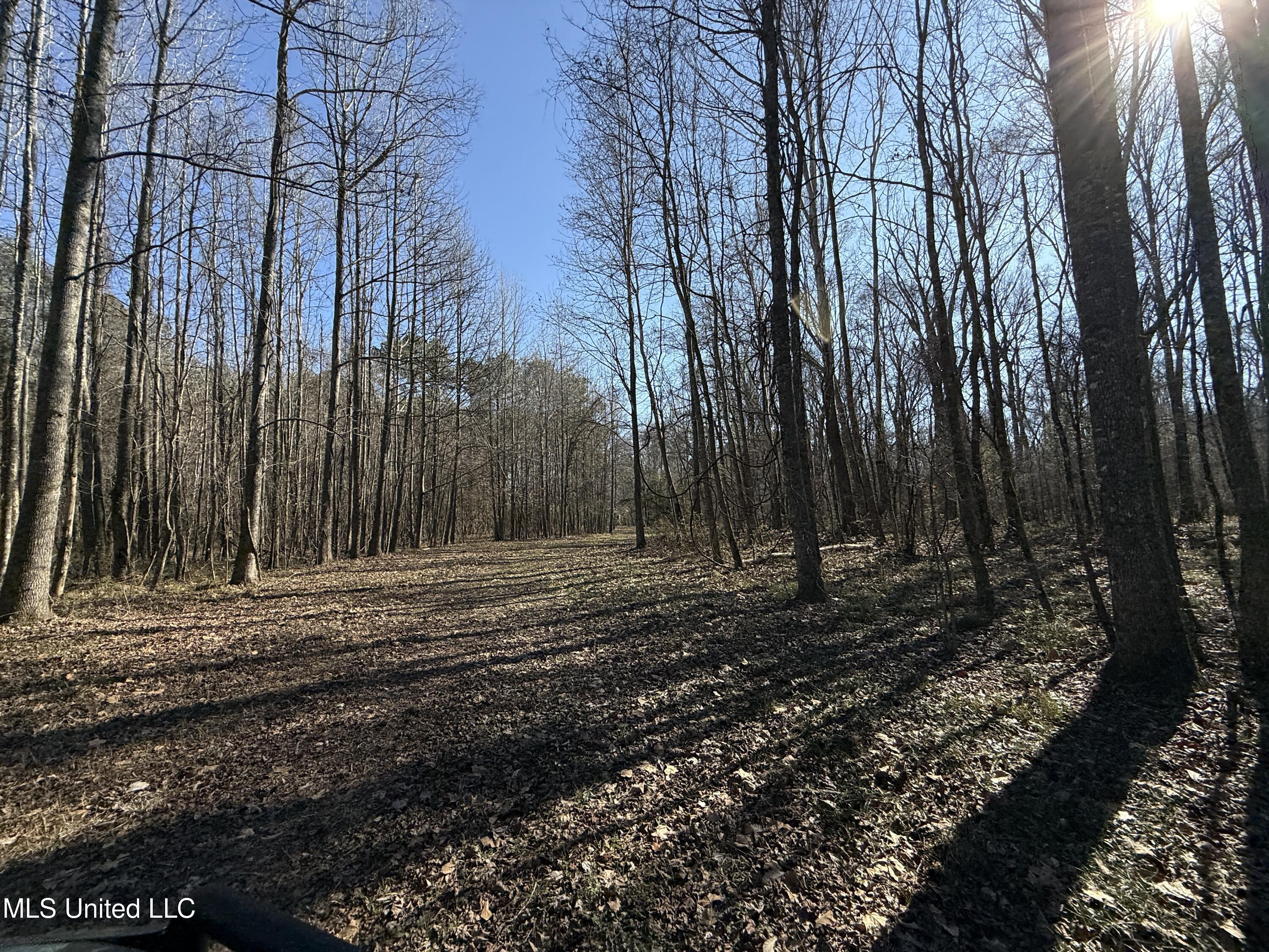 114 Huff Lane Property Photo 37