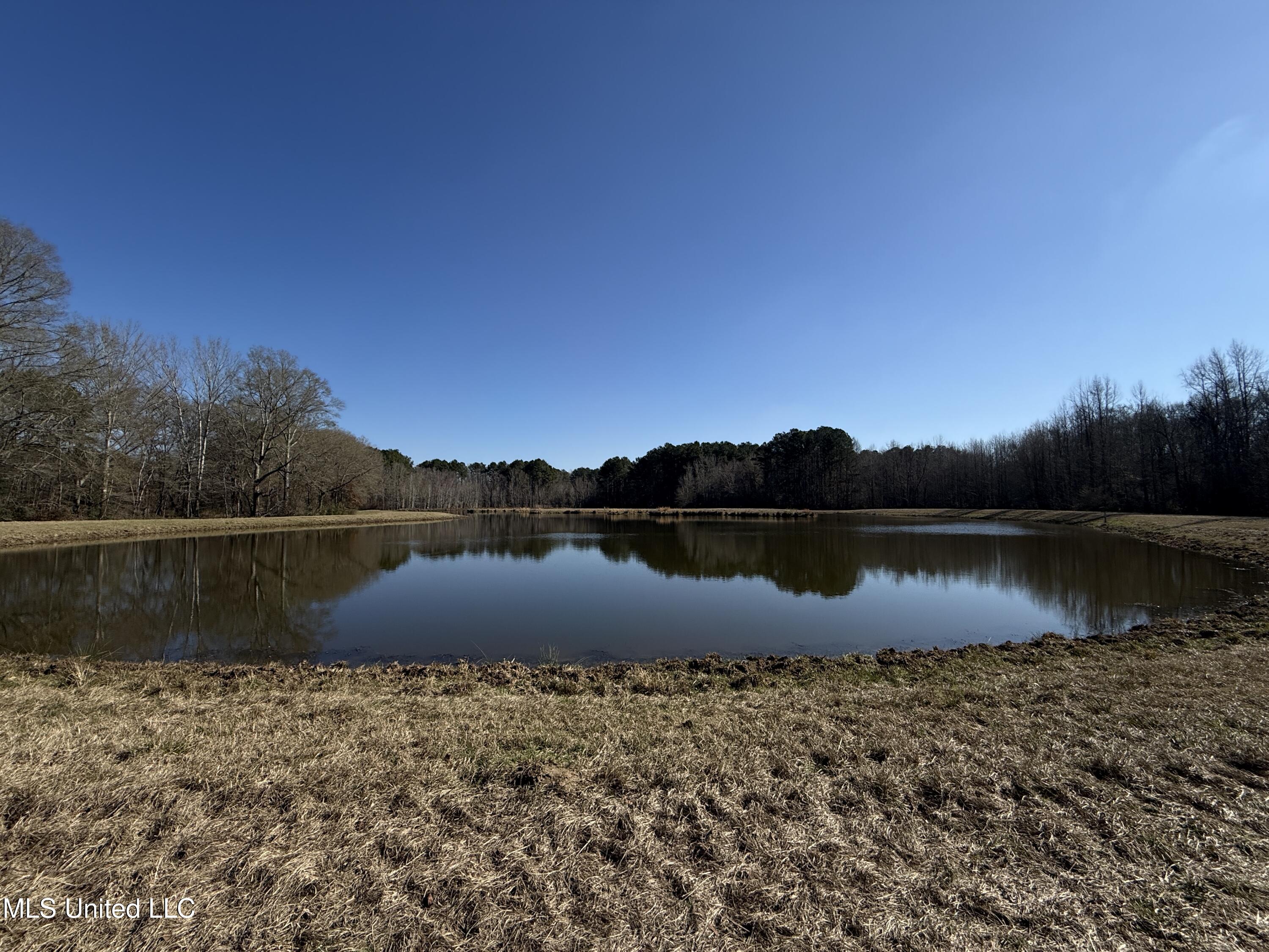 114 Huff Lane Property Photo 38