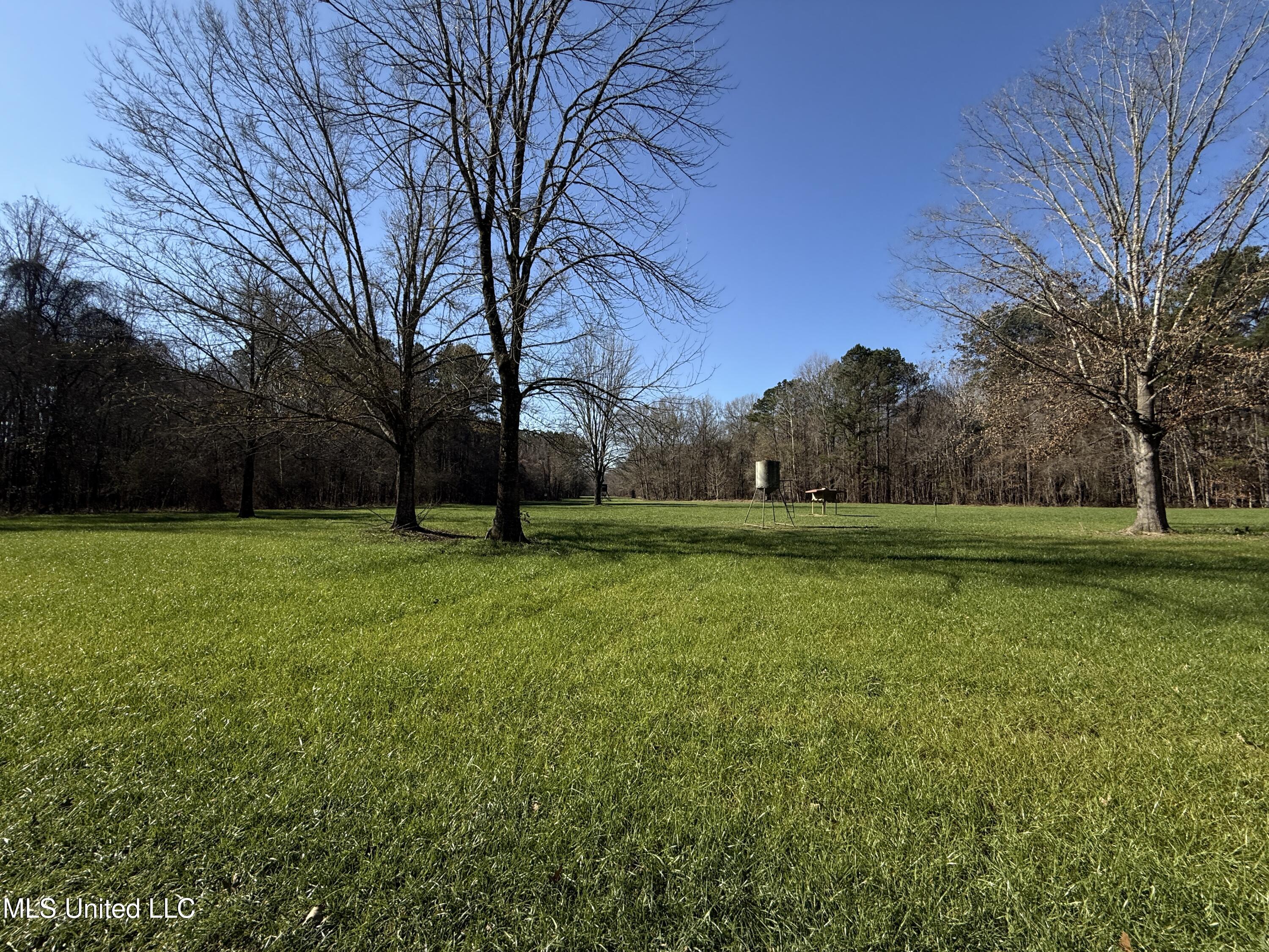 114 Huff Lane Property Photo 39