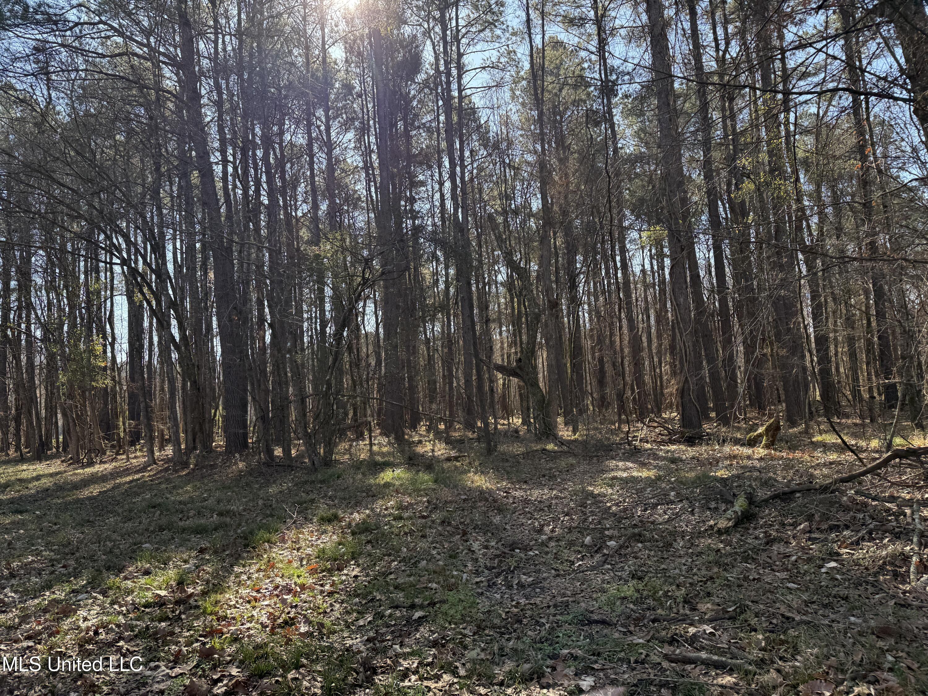 114 Huff Lane Property Photo 41