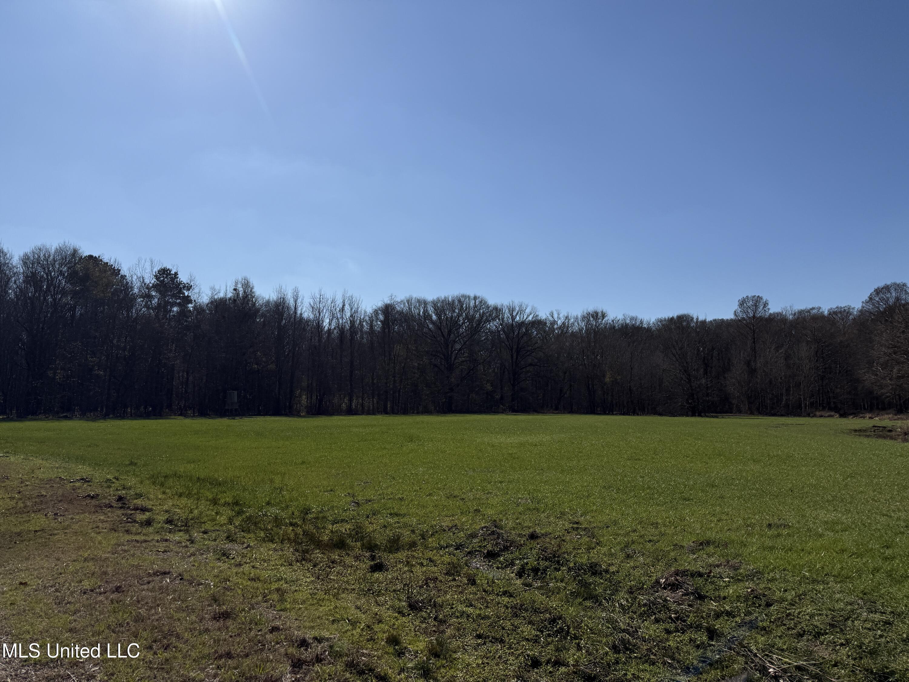 114 Huff Lane Property Photo 42