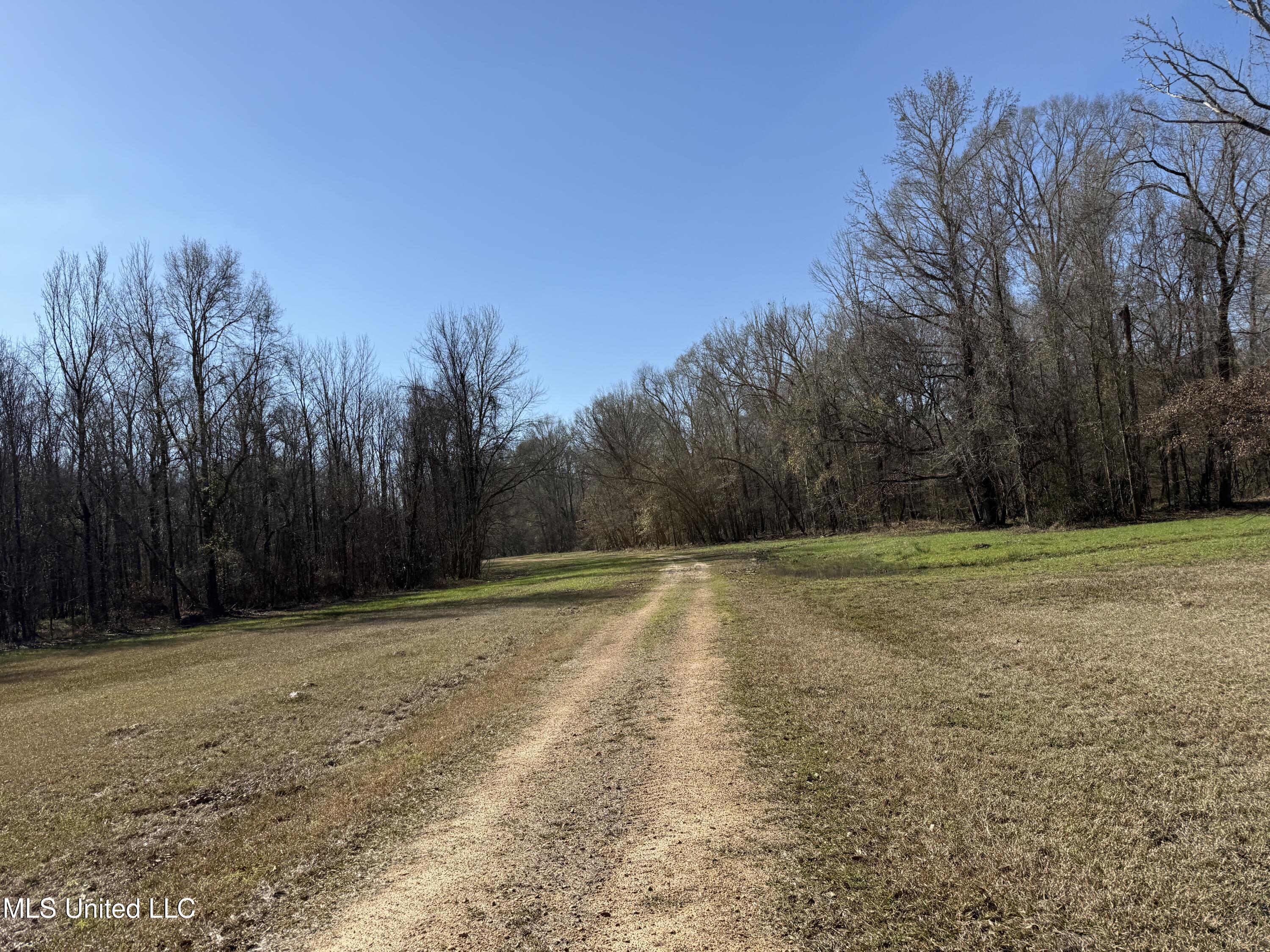 114 Huff Lane Property Photo 43