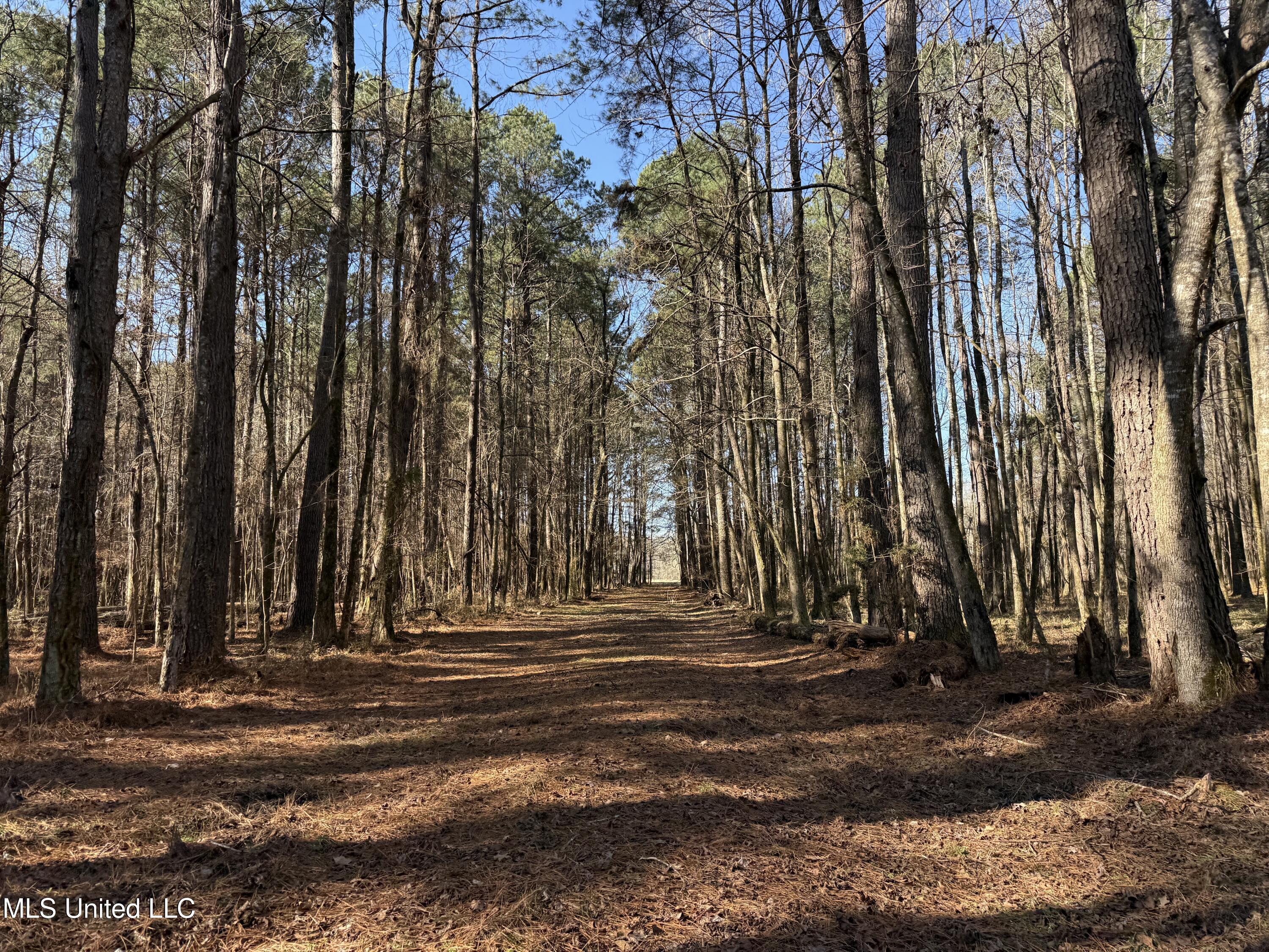 114 Huff Lane Property Photo 44
