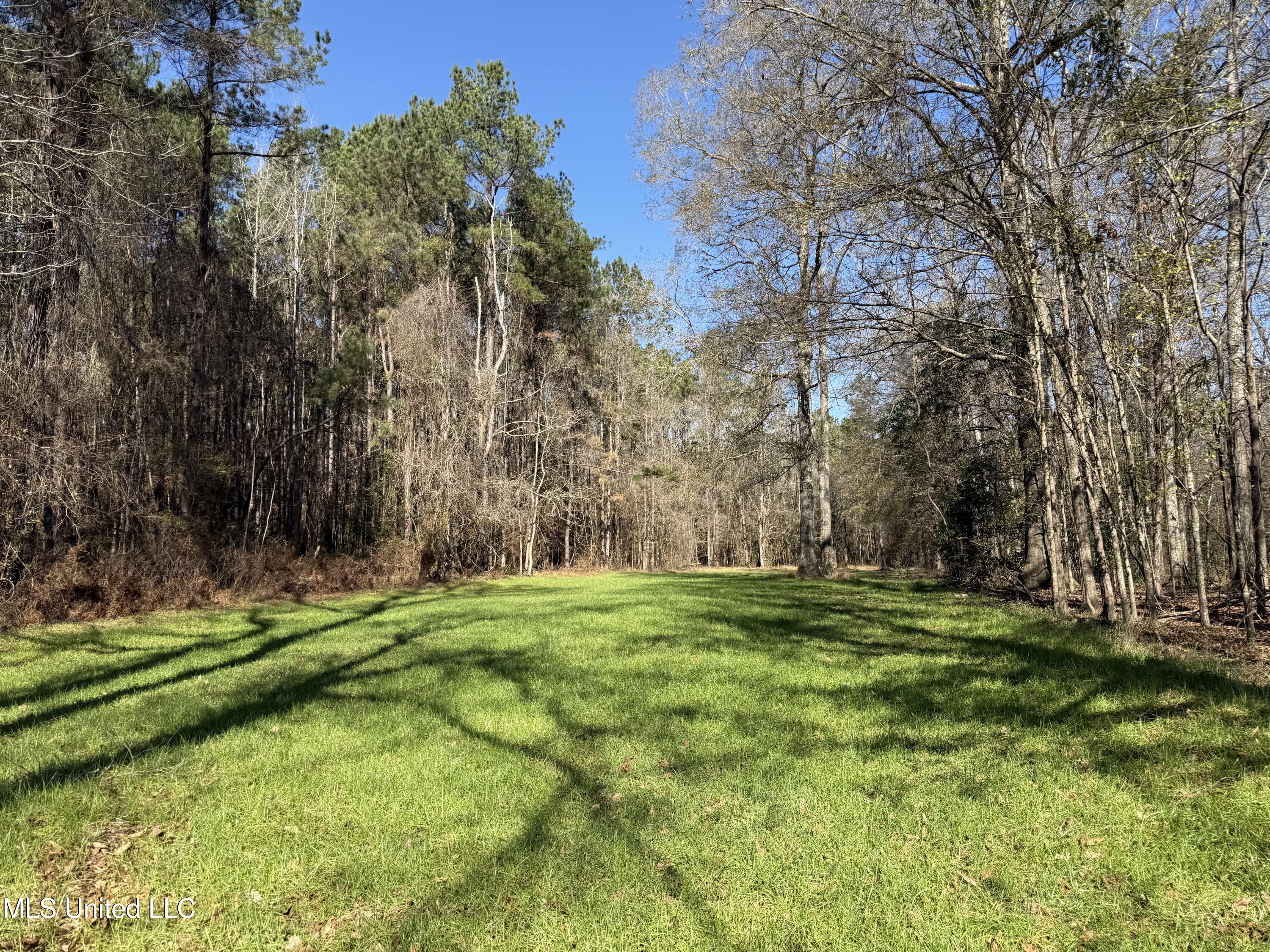 114 Huff Lane Property Photo 47