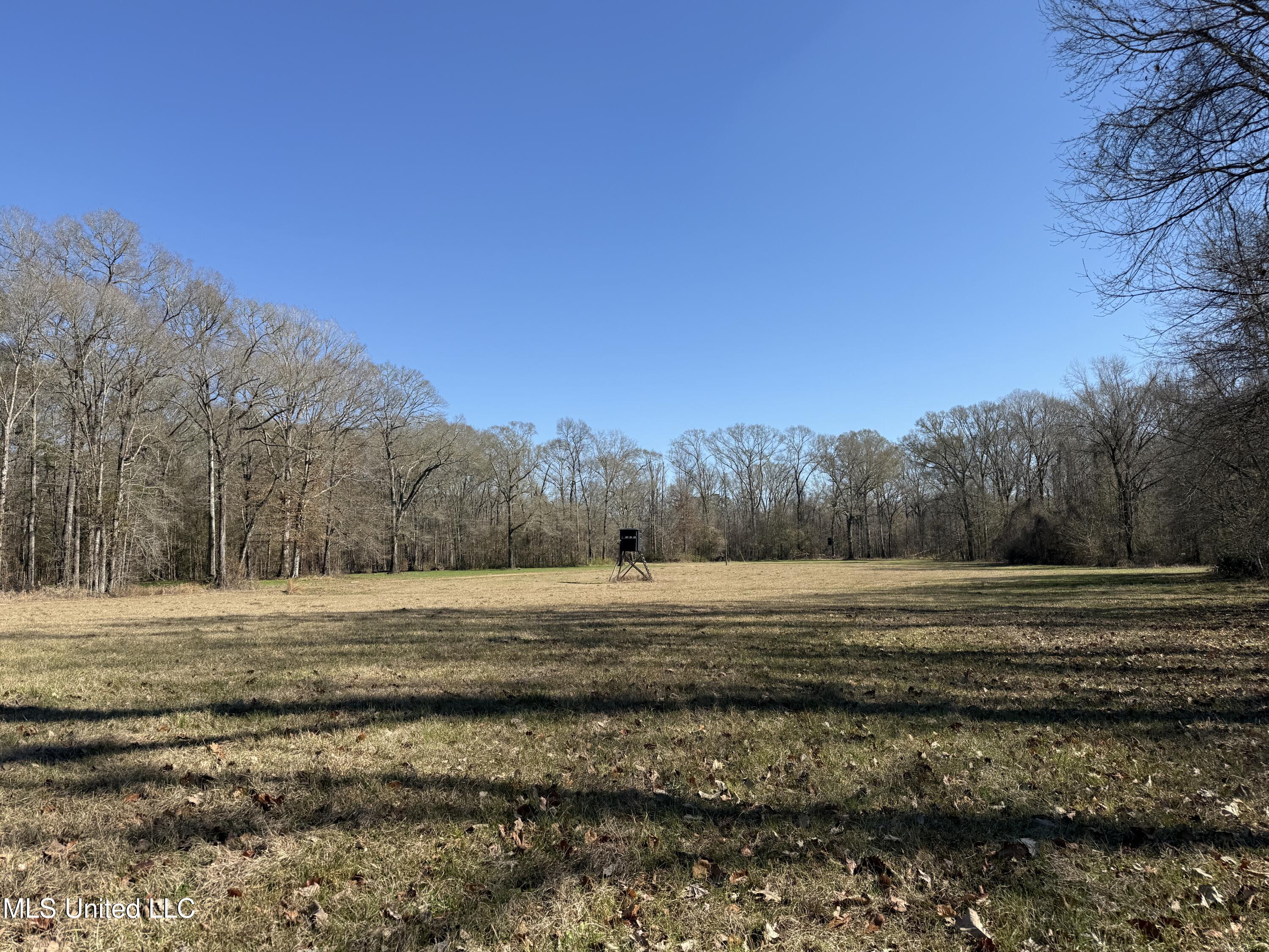 114 Huff Lane Property Photo 48