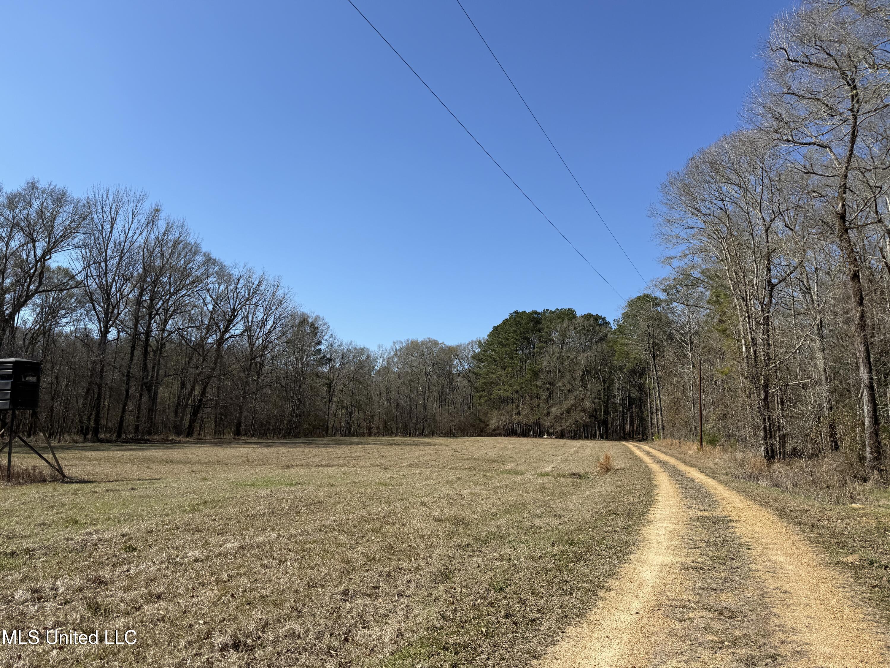 114 Huff Lane Property Photo 49