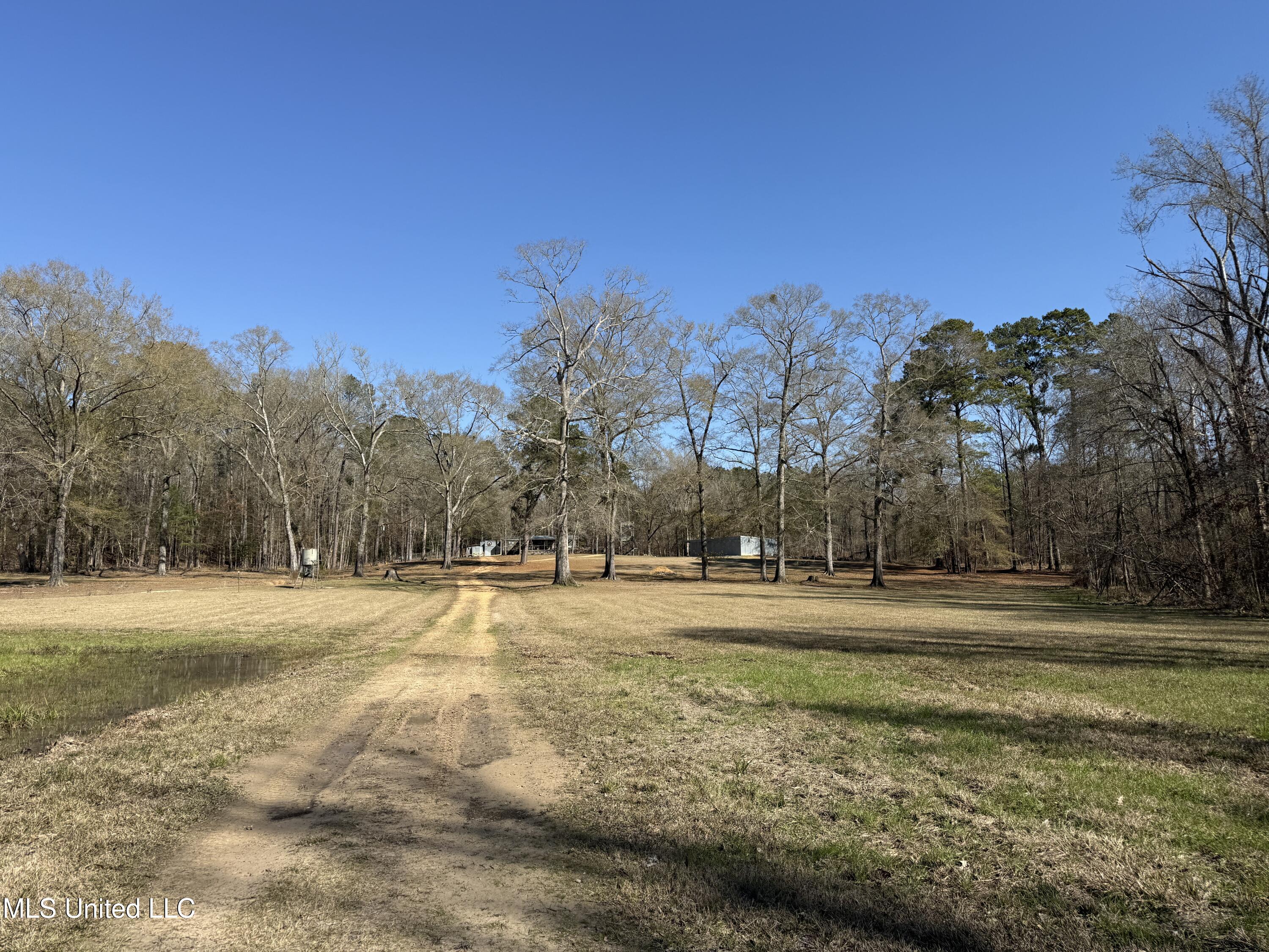 114 Huff Lane Property Photo 51